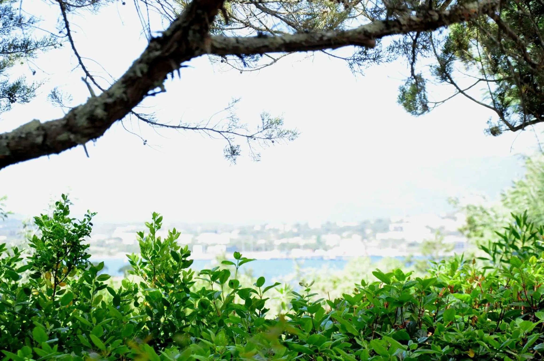 City view in Private Hôtel - Adults Only