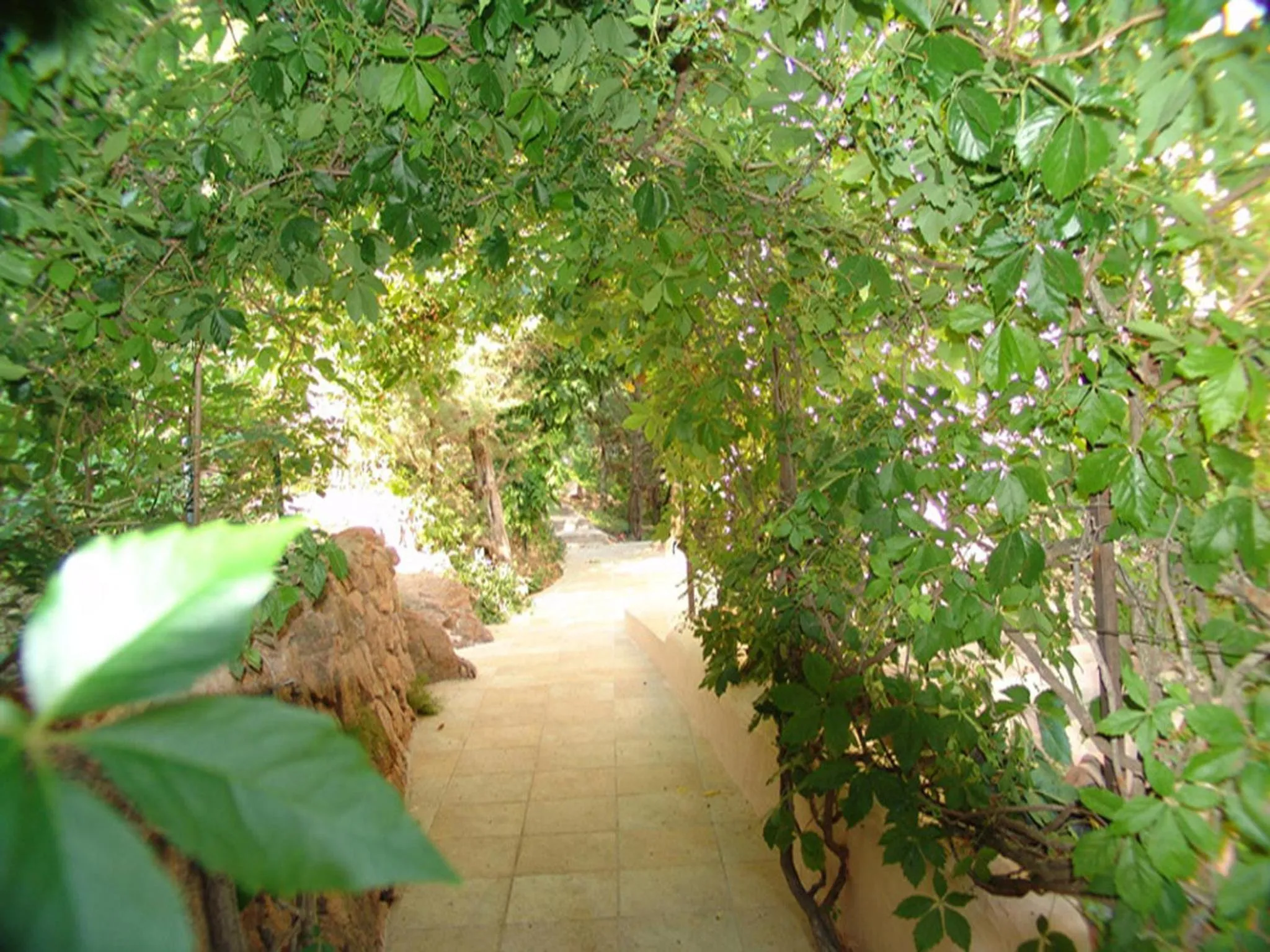 Garden in Private Hôtel - Adults Only
