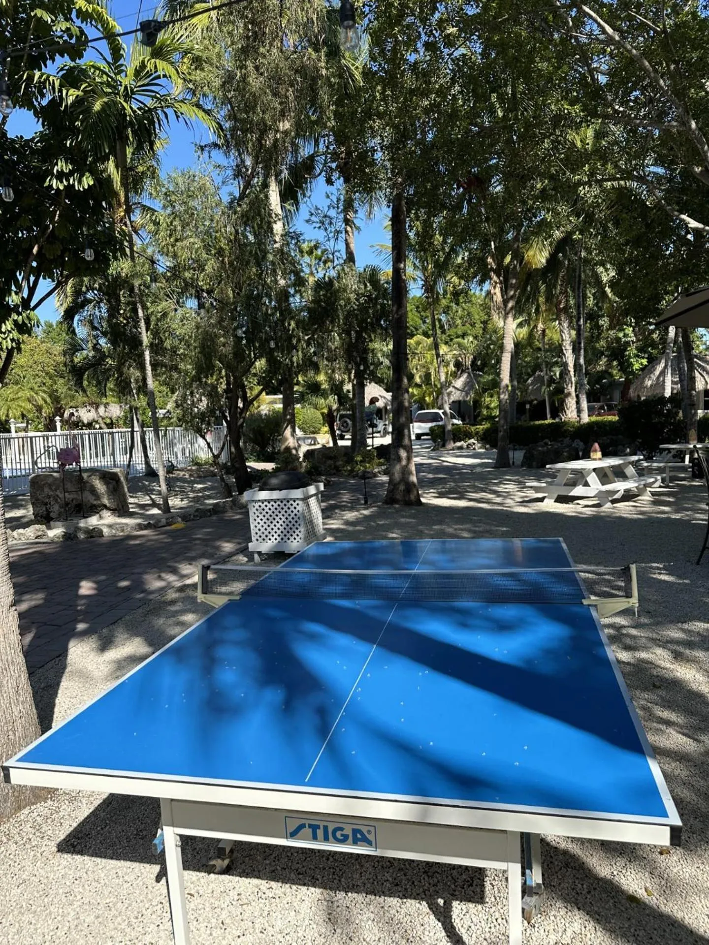 Table tennis in Atlantic Bay Resort