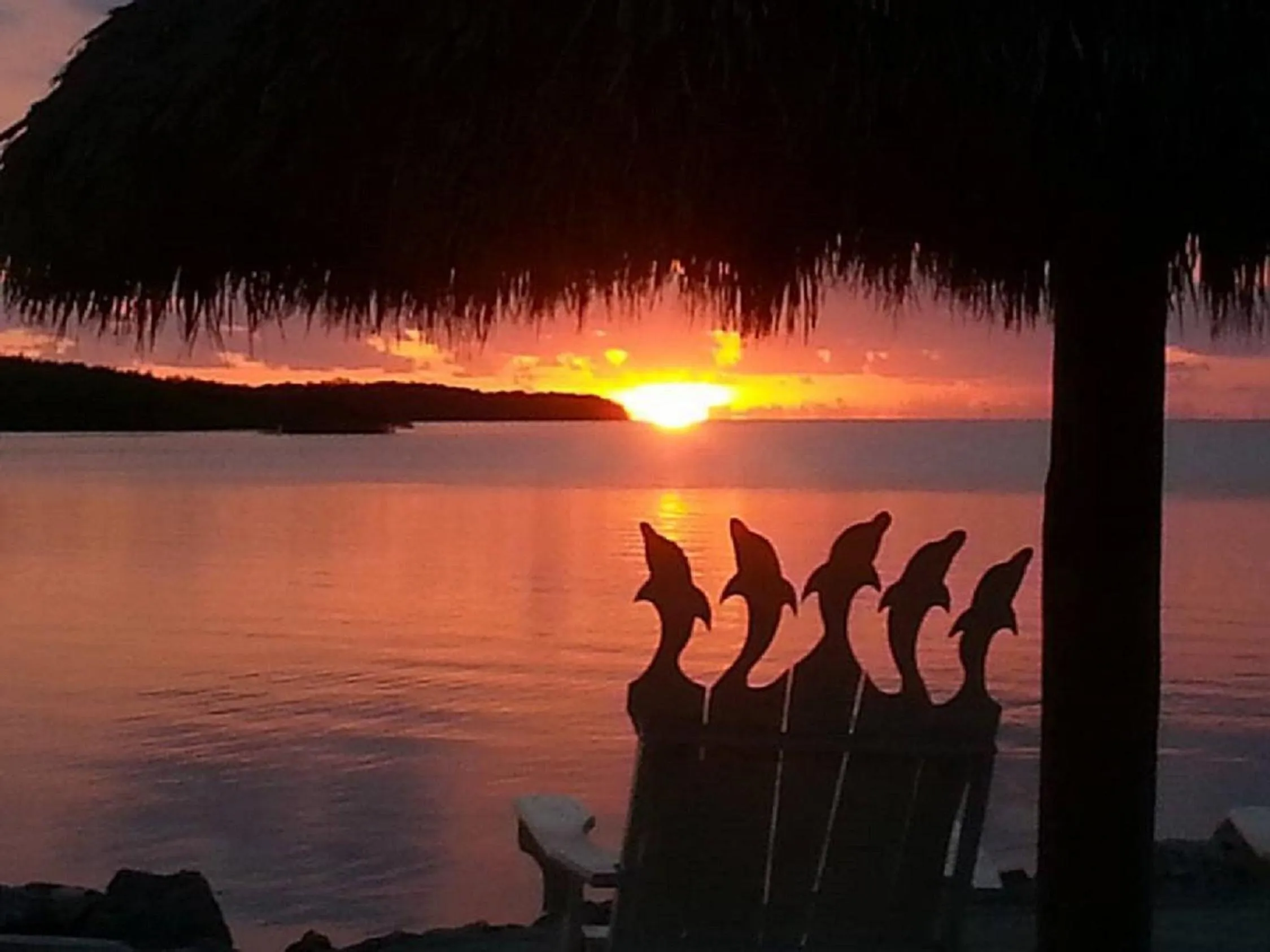 Natural landscape in Atlantic Bay Resort