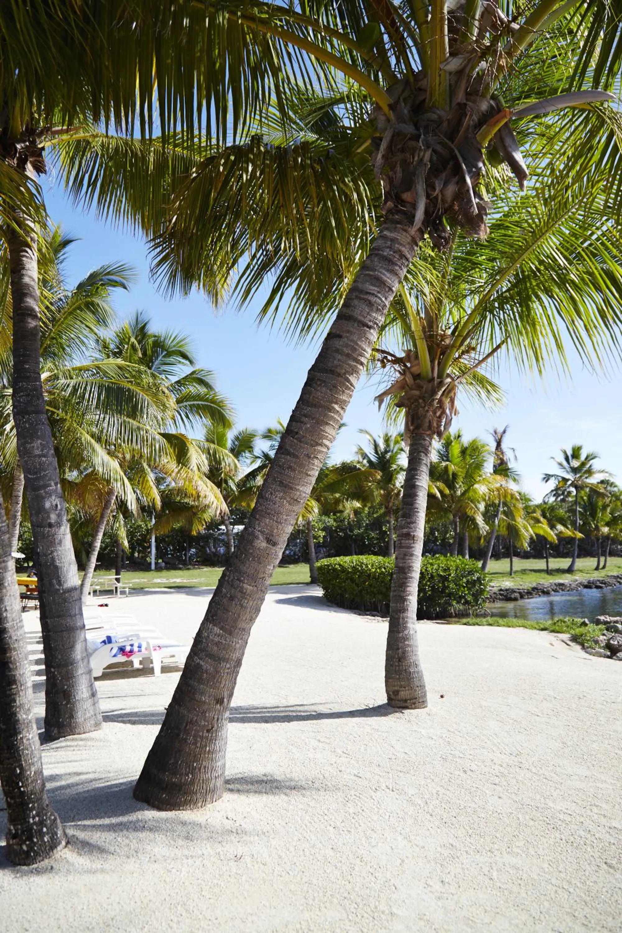 Other in Atlantic Bay Resort