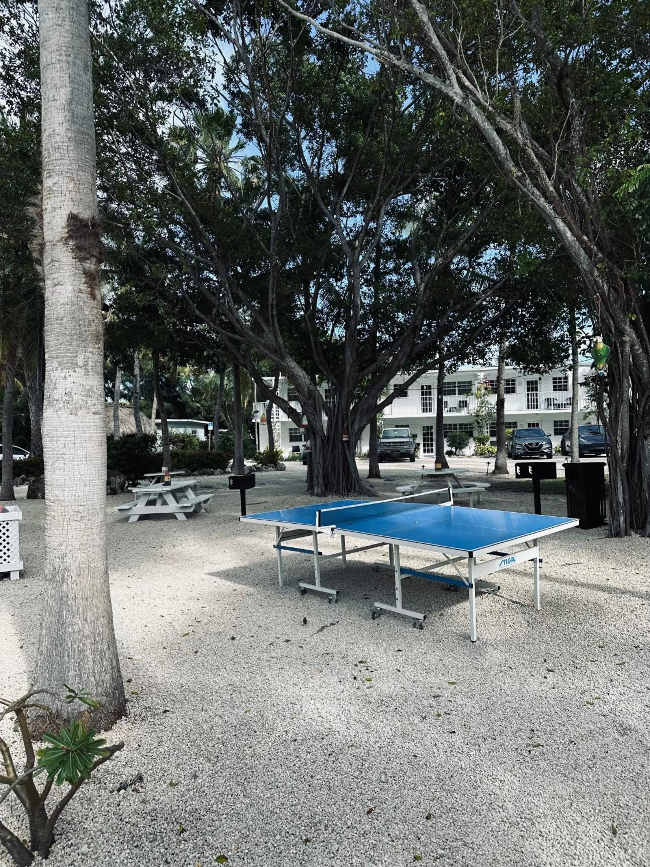 Table tennis in Atlantic Bay Resort