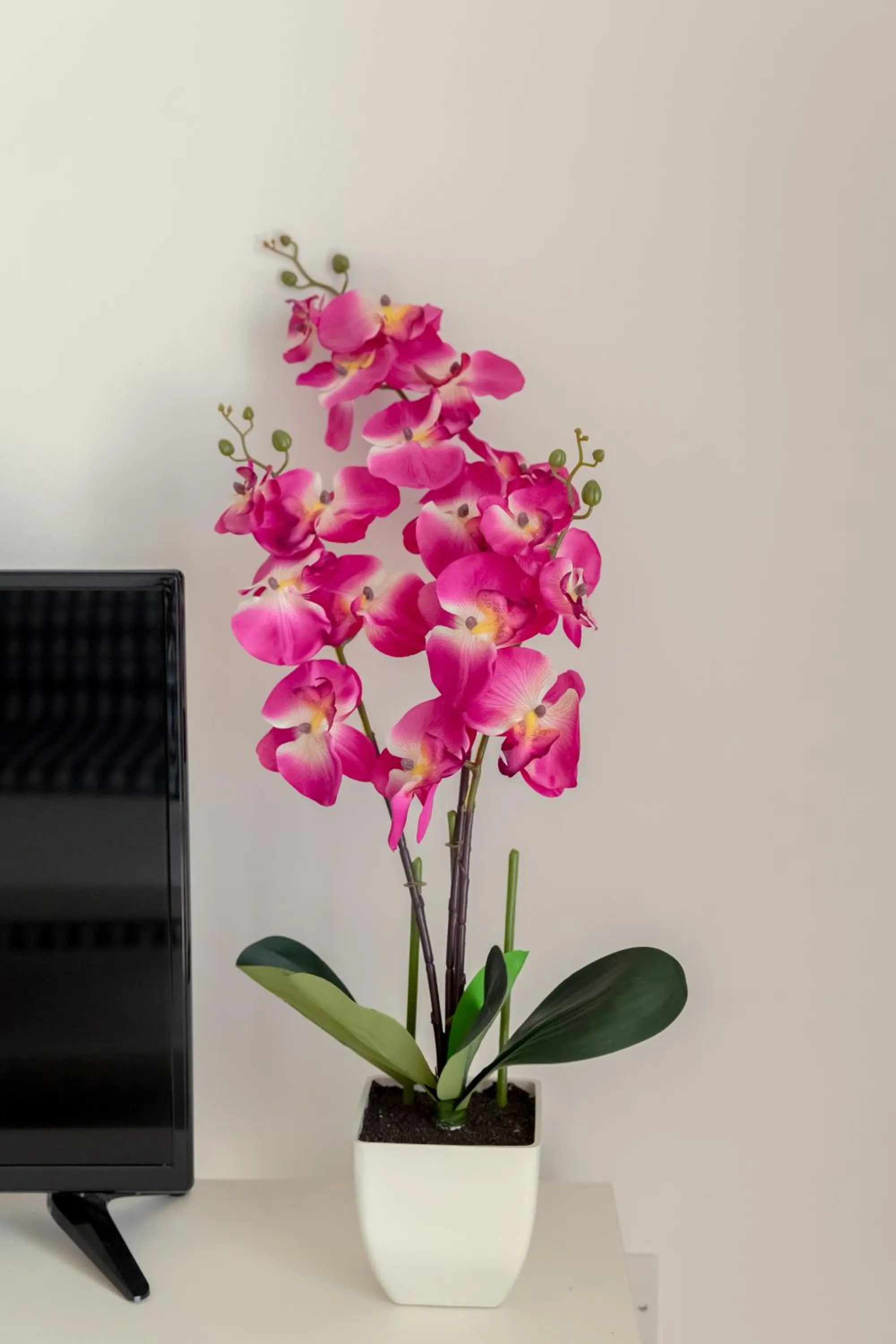 Decorative detail in Oceania Bay Village