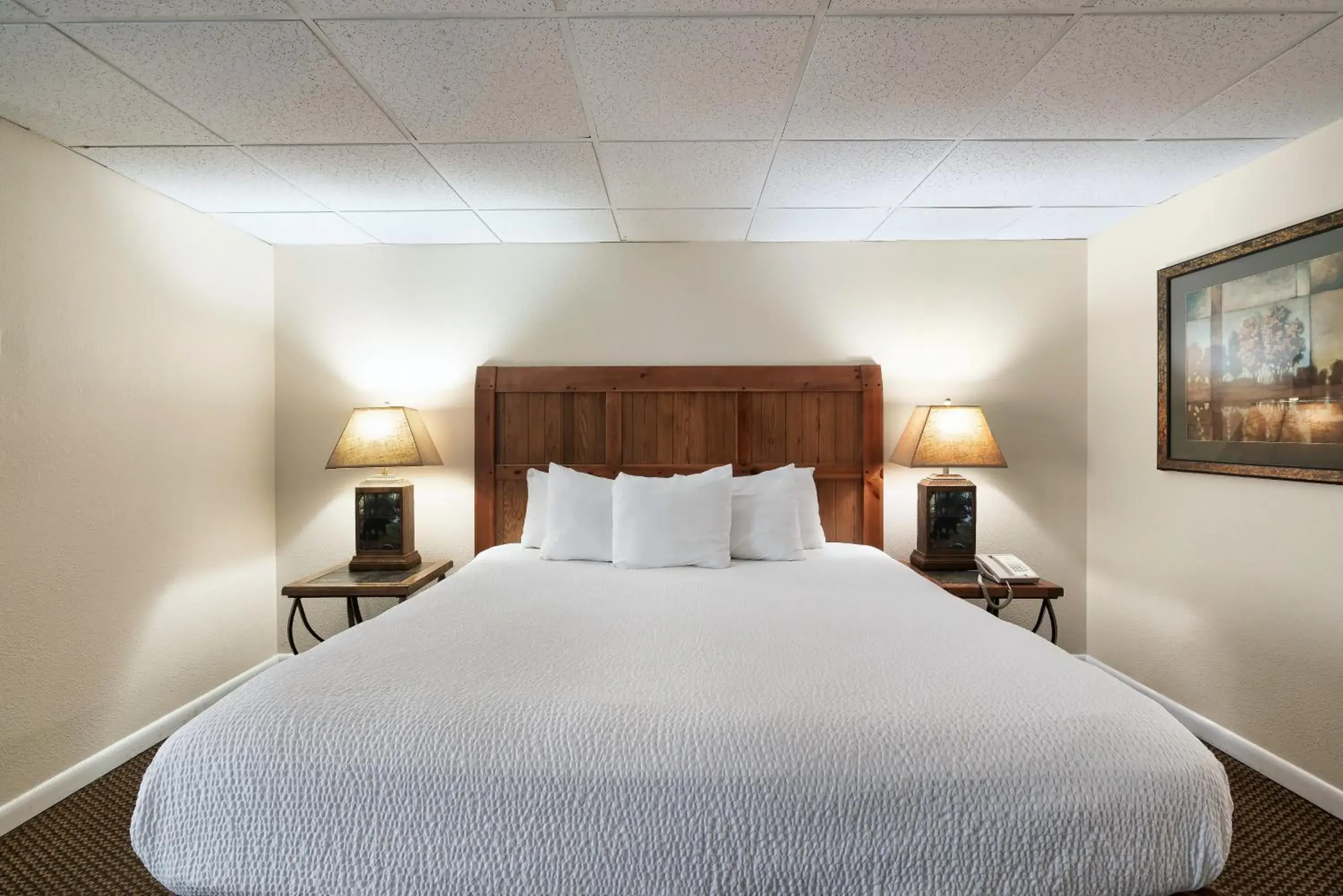 GTVH - Standard King Room in Gatlinburg Town Square GTVH - Standard King Room in Gatlinburg Town Square