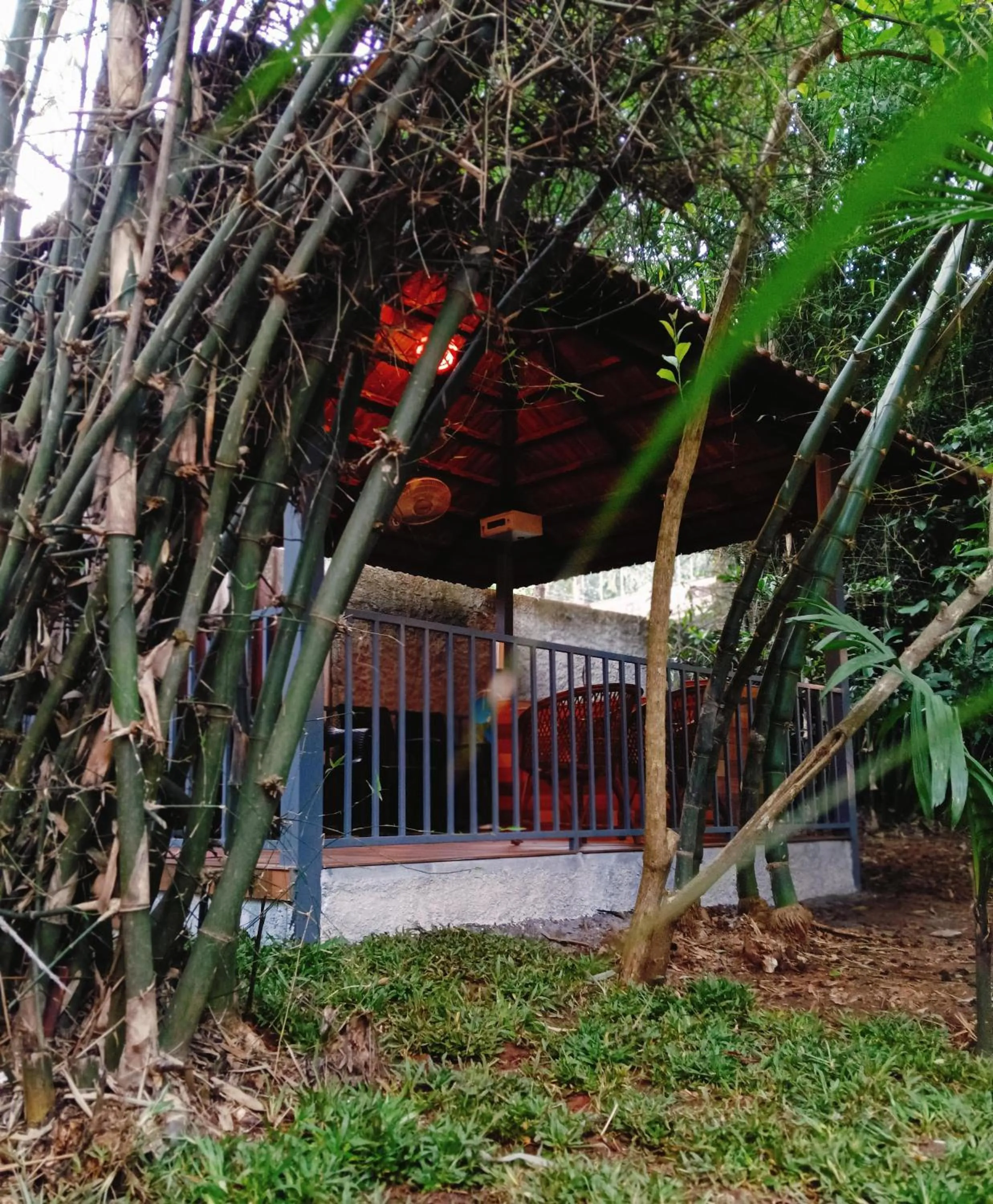 Garden view in Le Eden Premium Wayanad Pool Resort