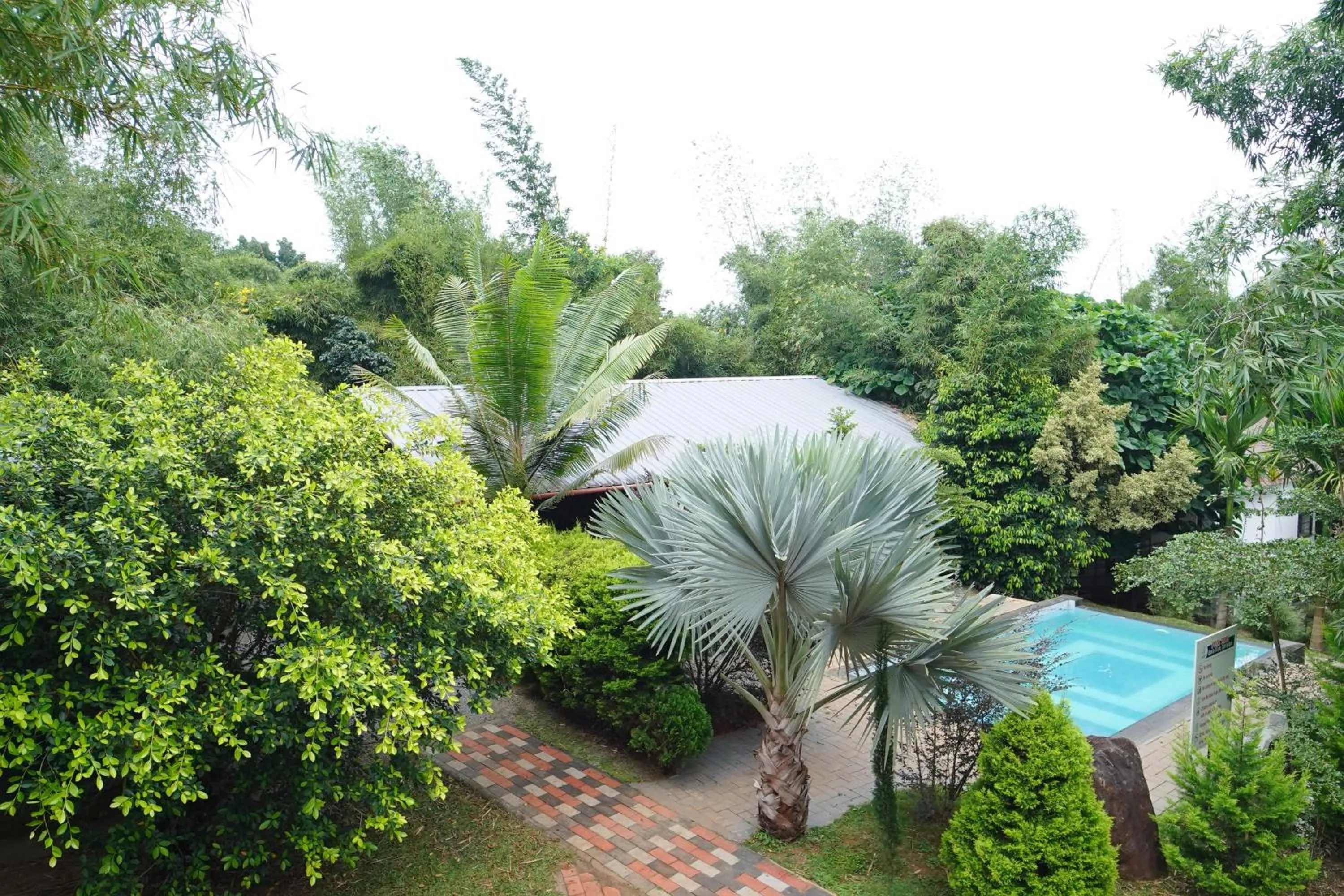 View (from property/room) in Le Eden Premium Wayanad Pool Resort