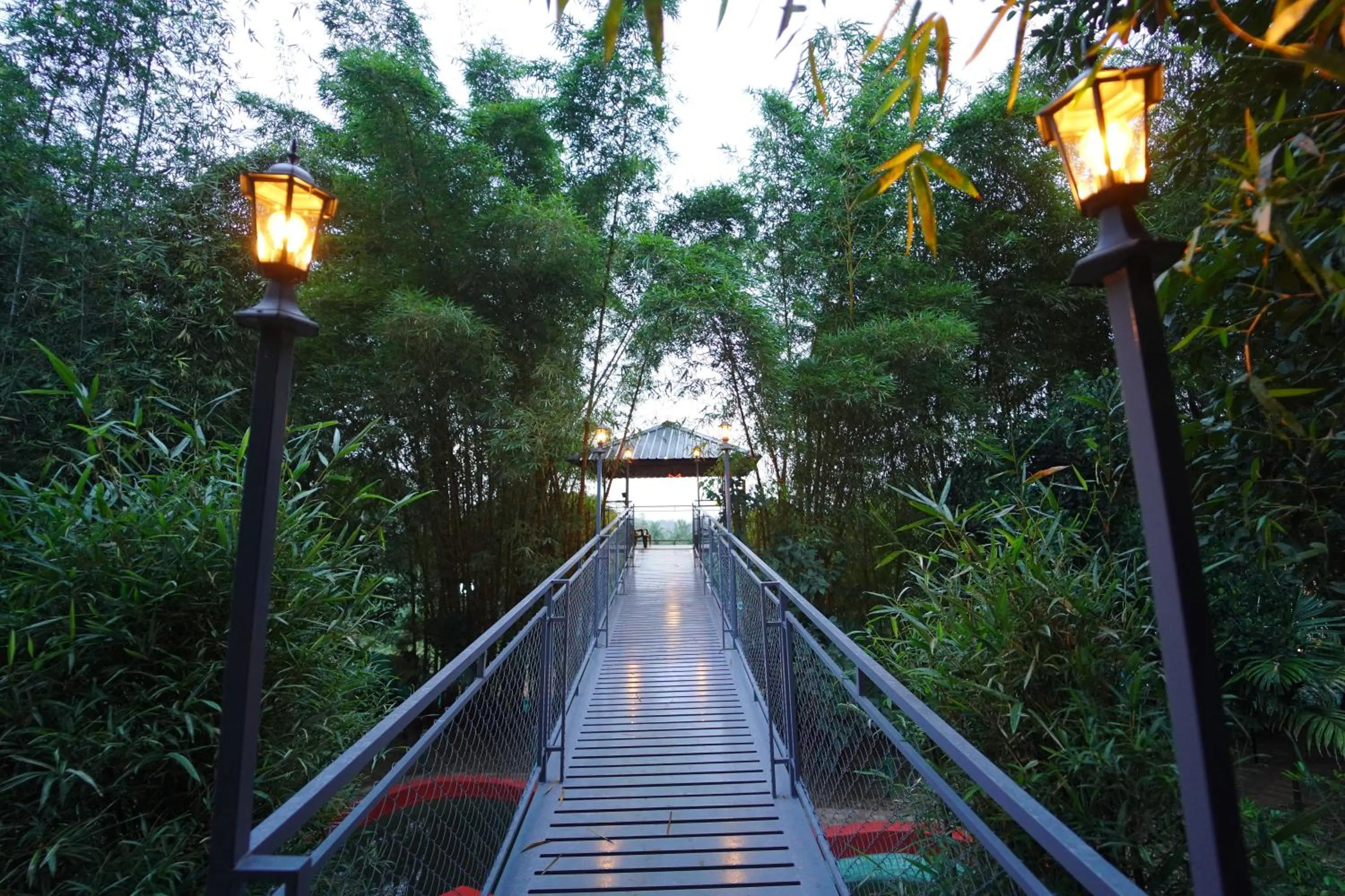 Garden in Le Eden Premium Wayanad Pool Resort
