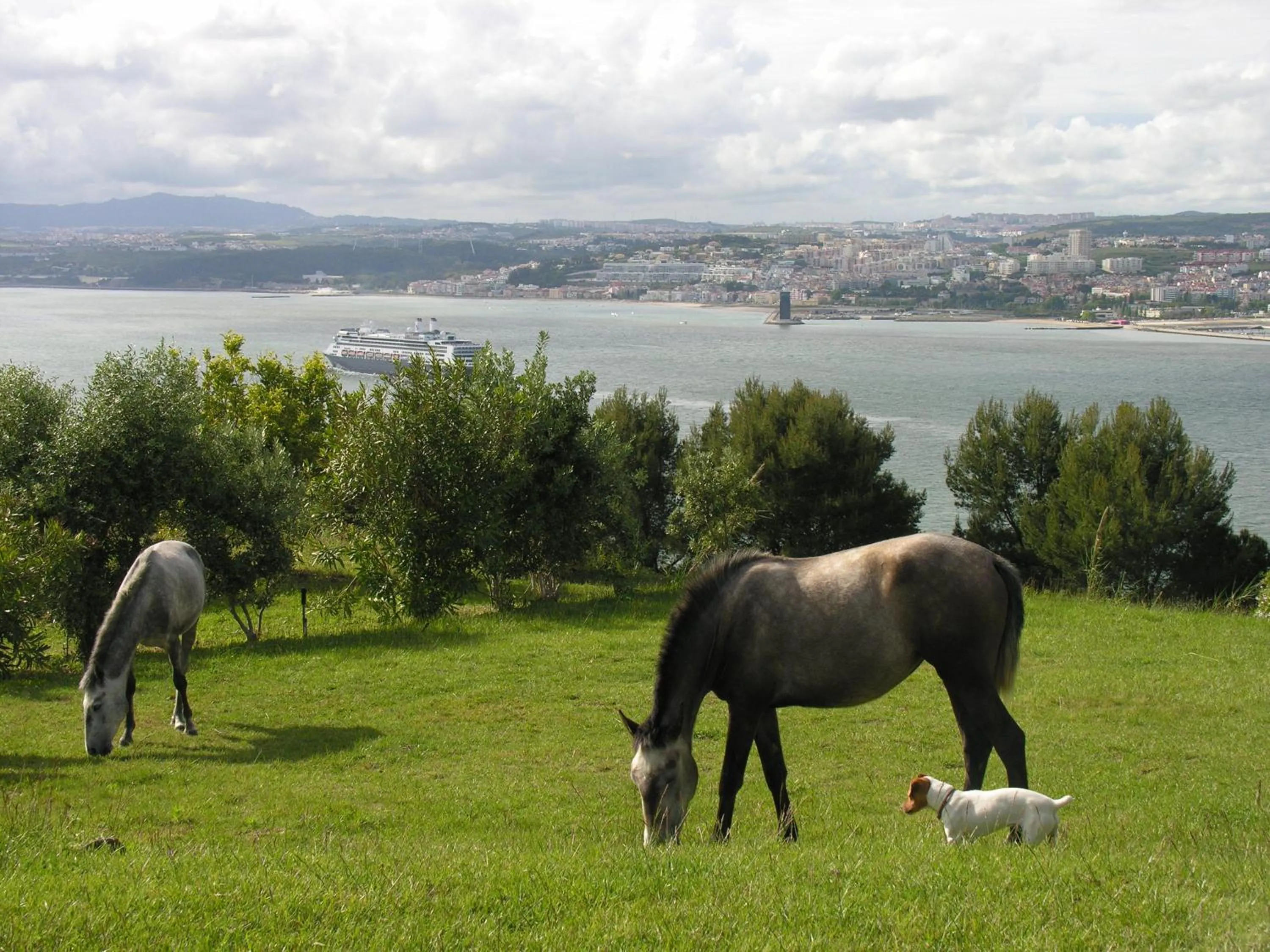 City view in Quinta Tagus