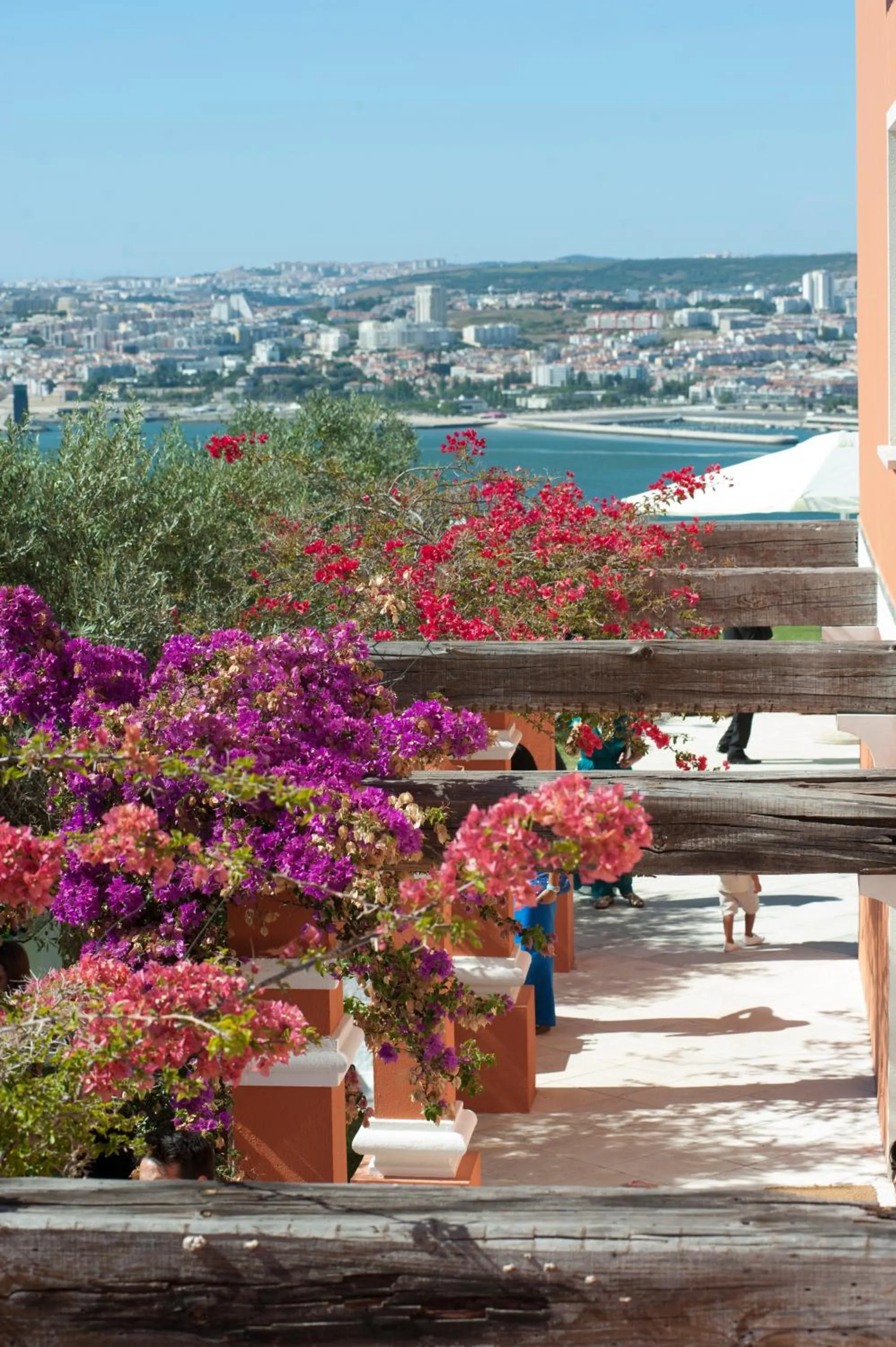 Garden in Quinta Tagus