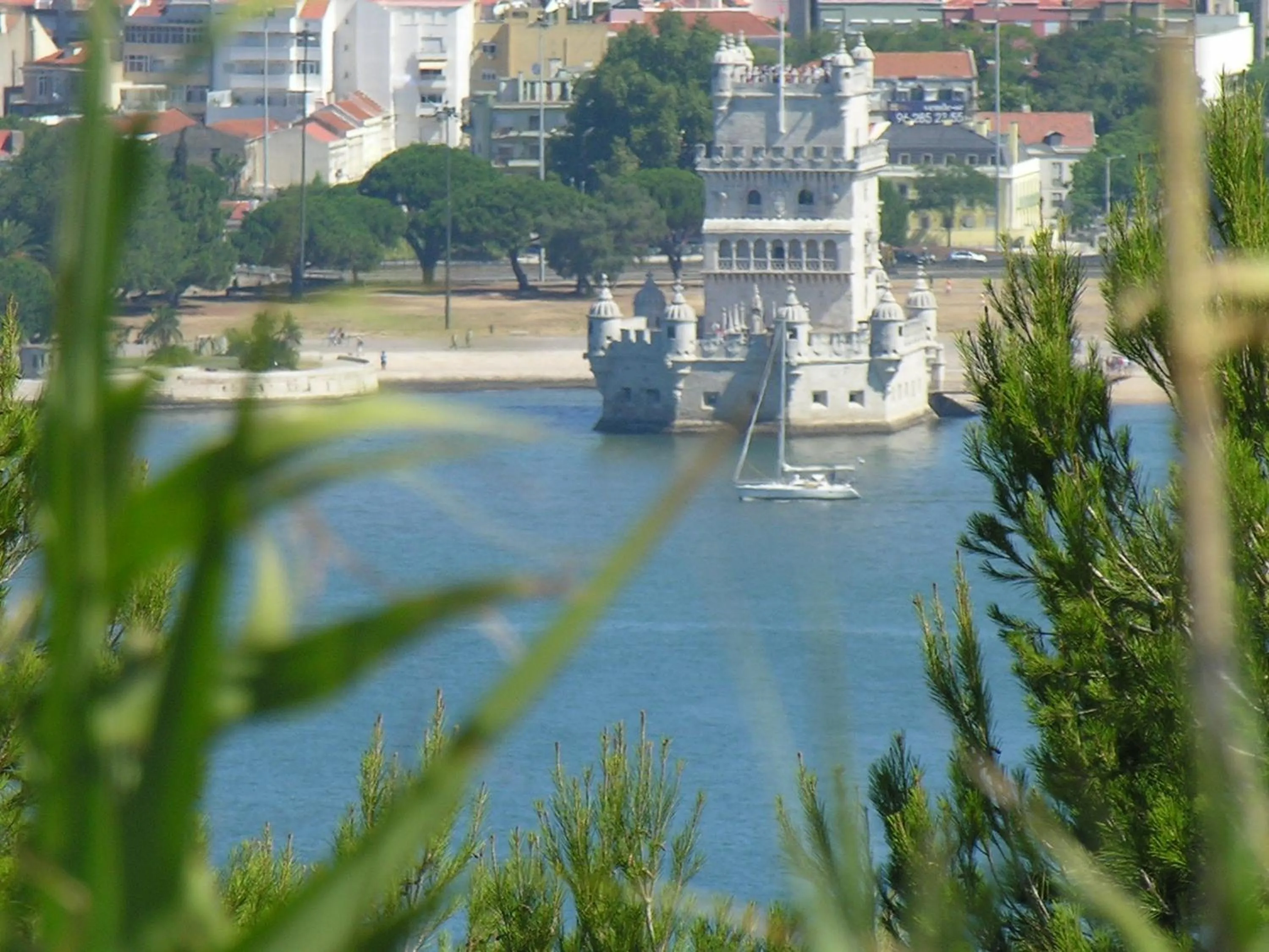 Garden in Quinta Tagus