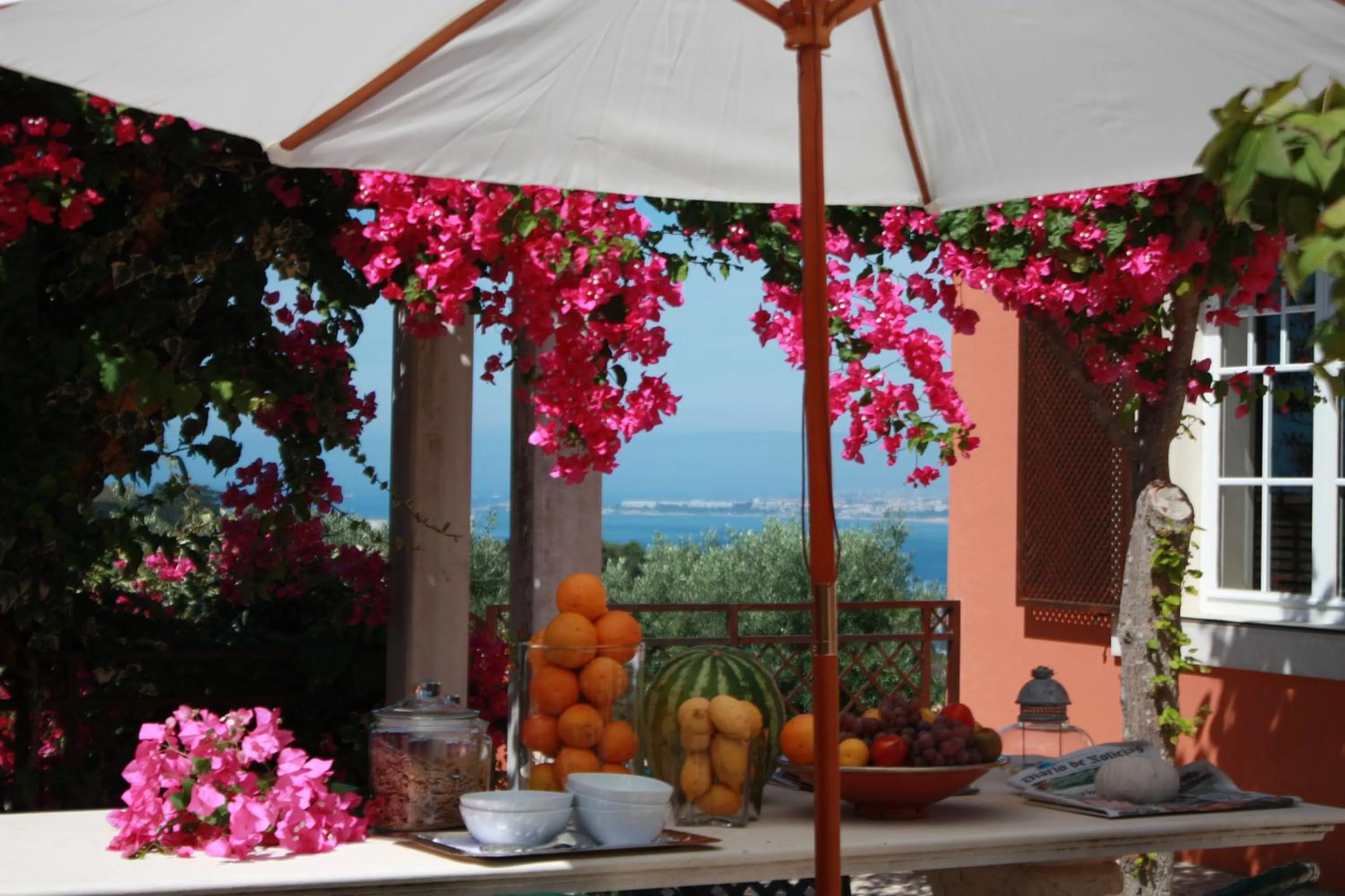 Garden in Quinta Tagus