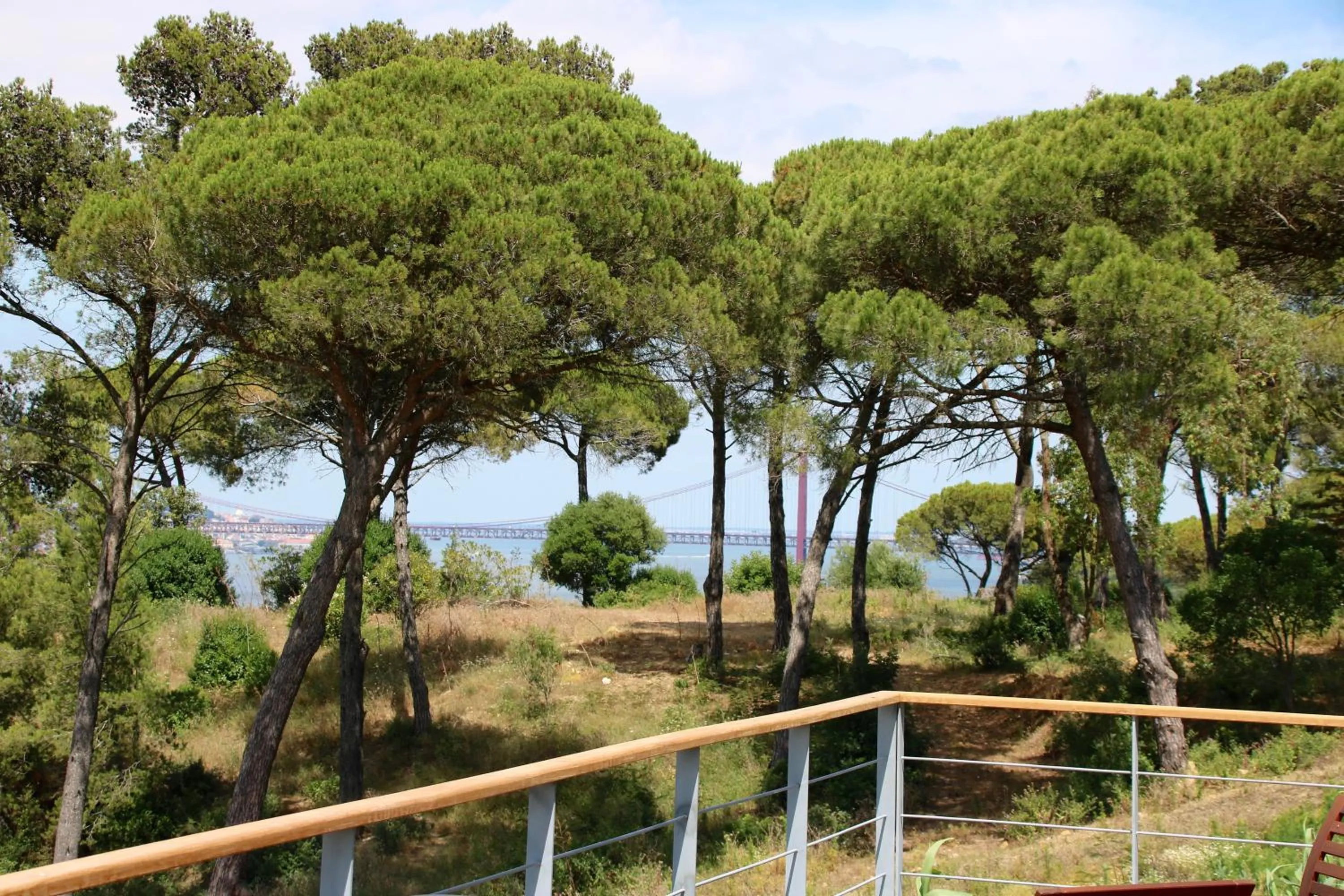 Natural landscape in Quinta Tagus