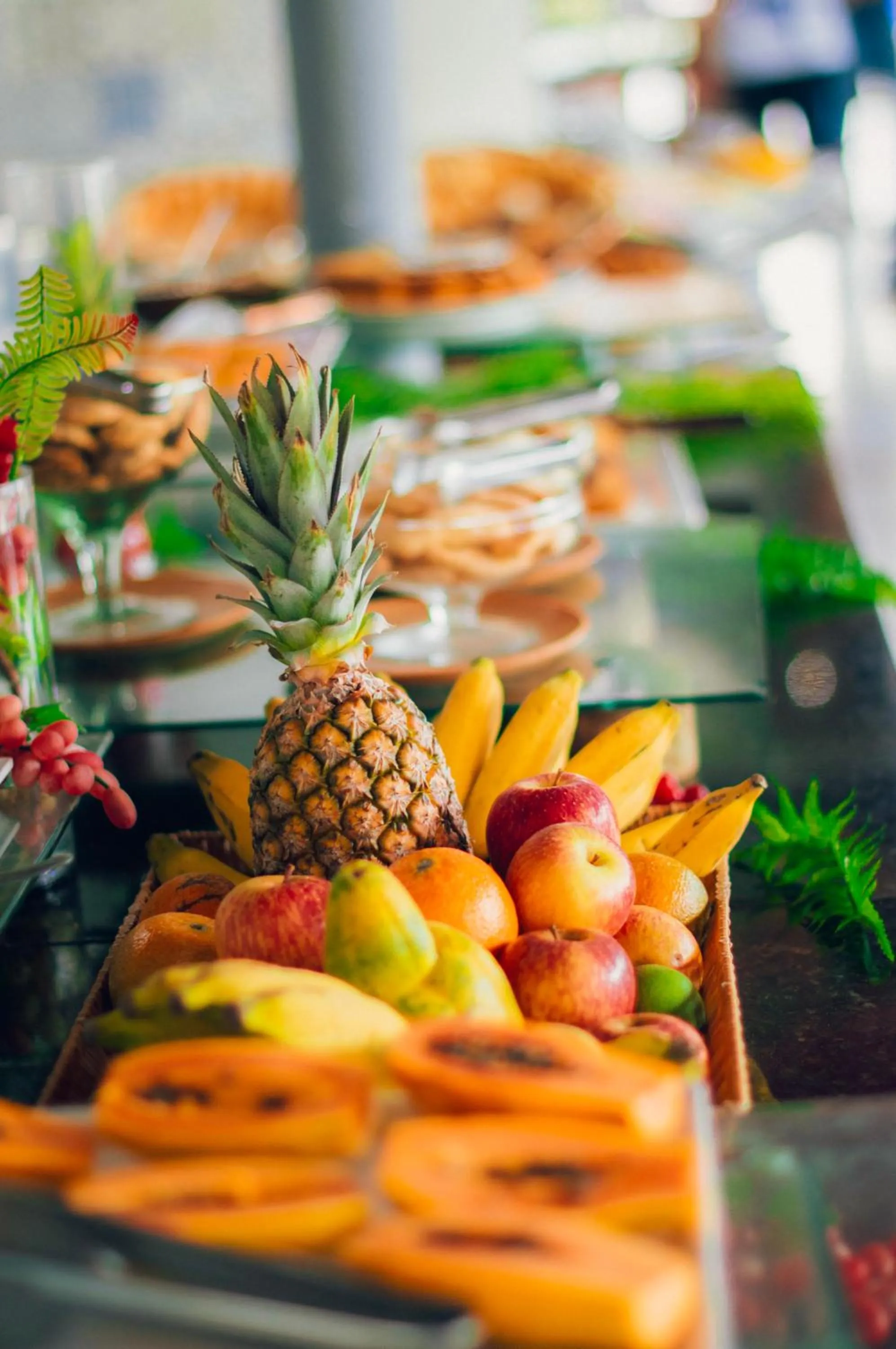 Garça Branca Praia Hotel