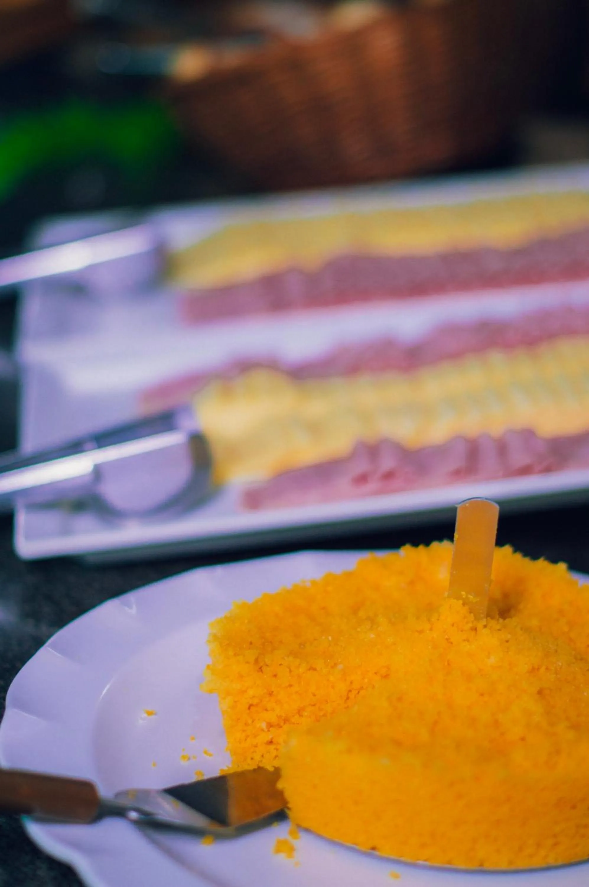 Garça Branca Praia Hotel