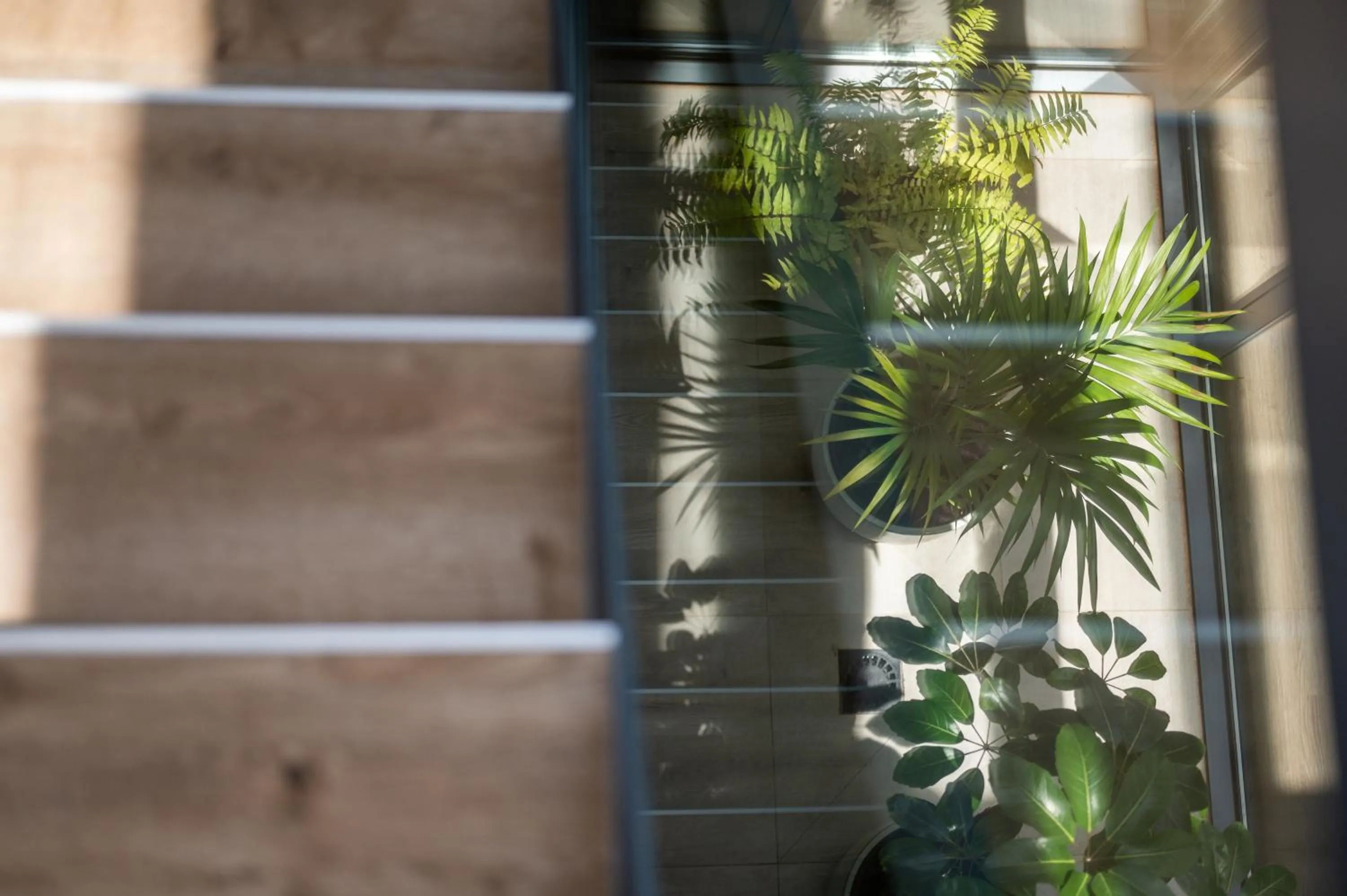 Property building in Sol i Vida Hotel - Adults Only