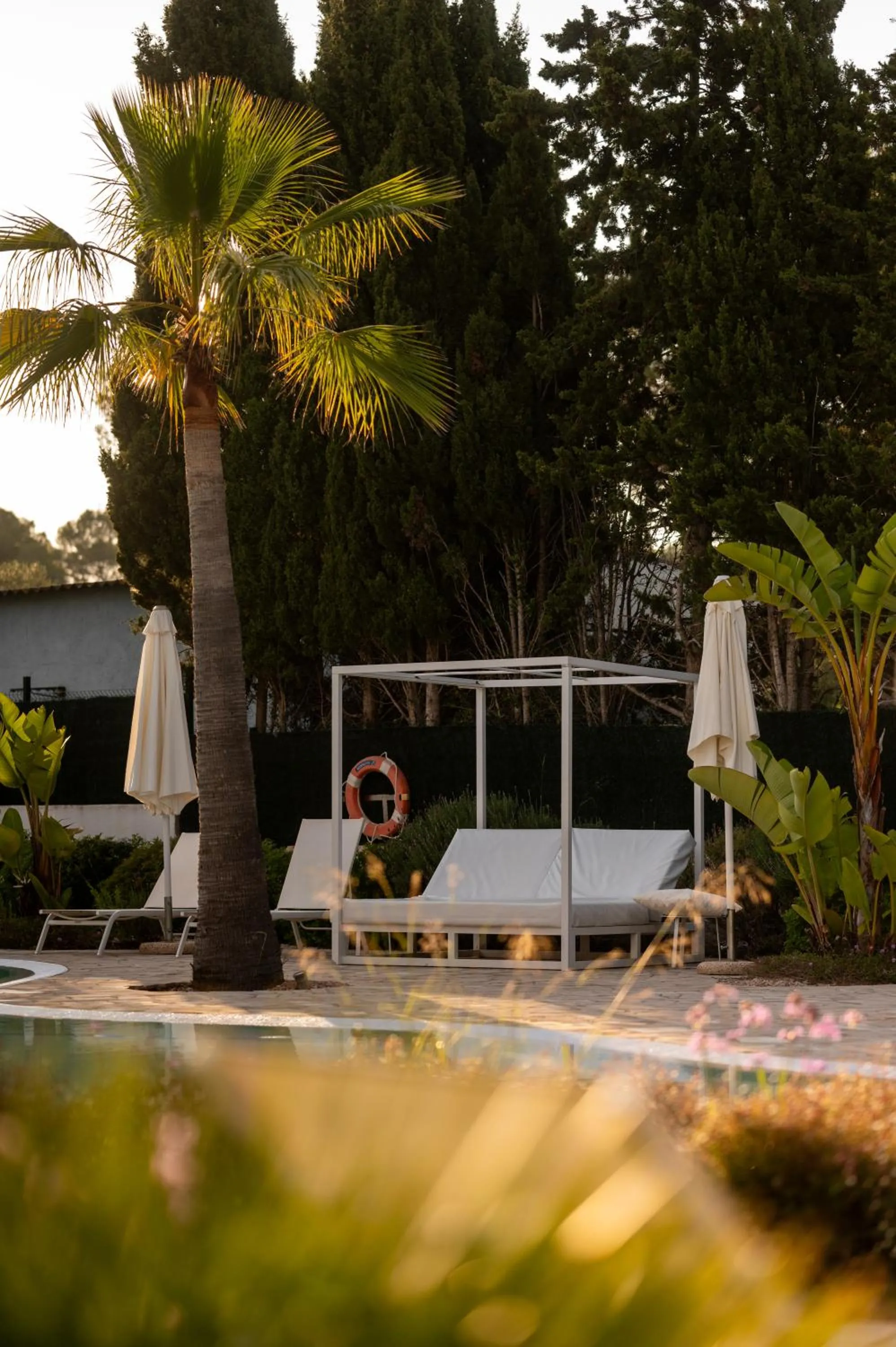 Pool view in Sol i Vida Hotel - Adults Only