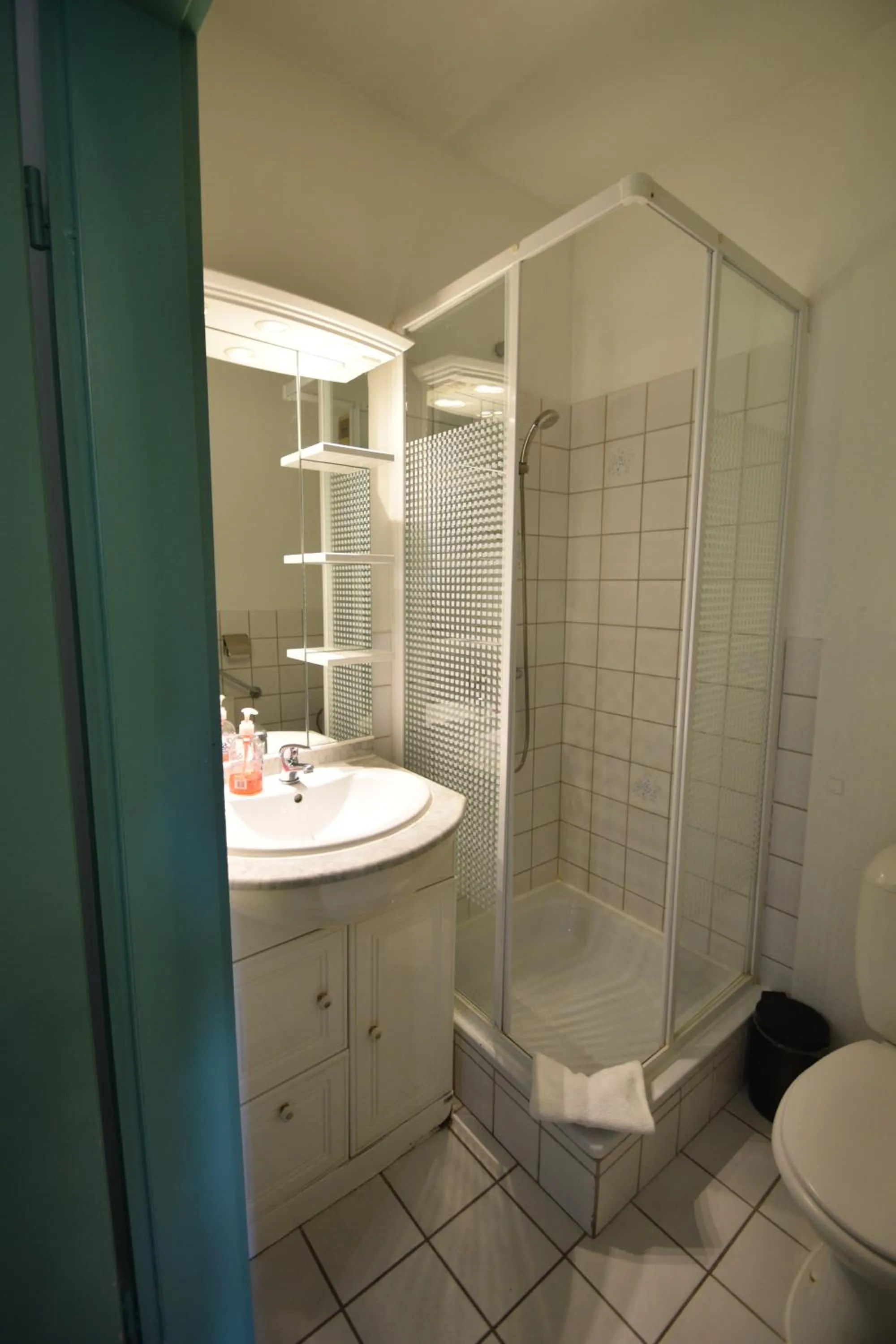 Shower in Budget Flats Brussels