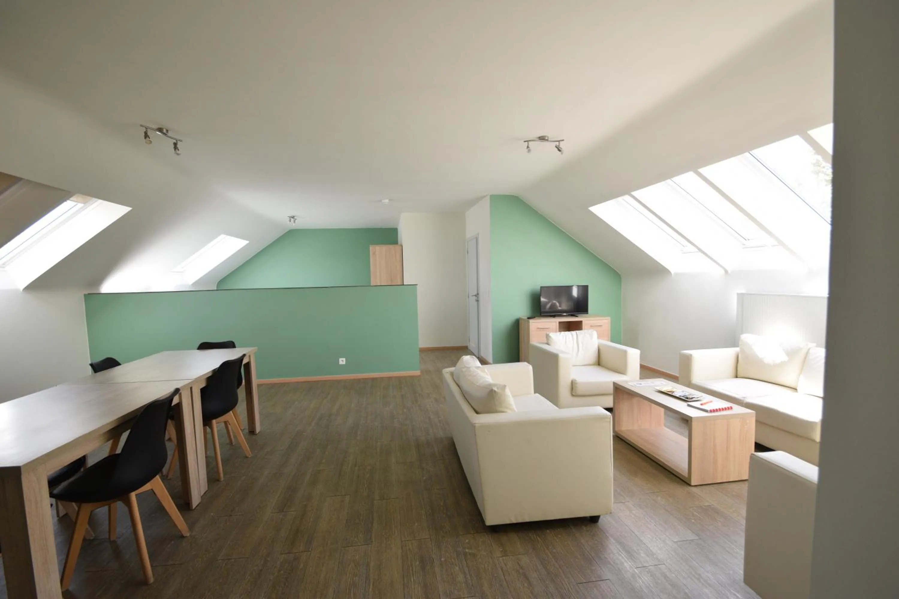 TV and multimedia in Budget Flats Brussels