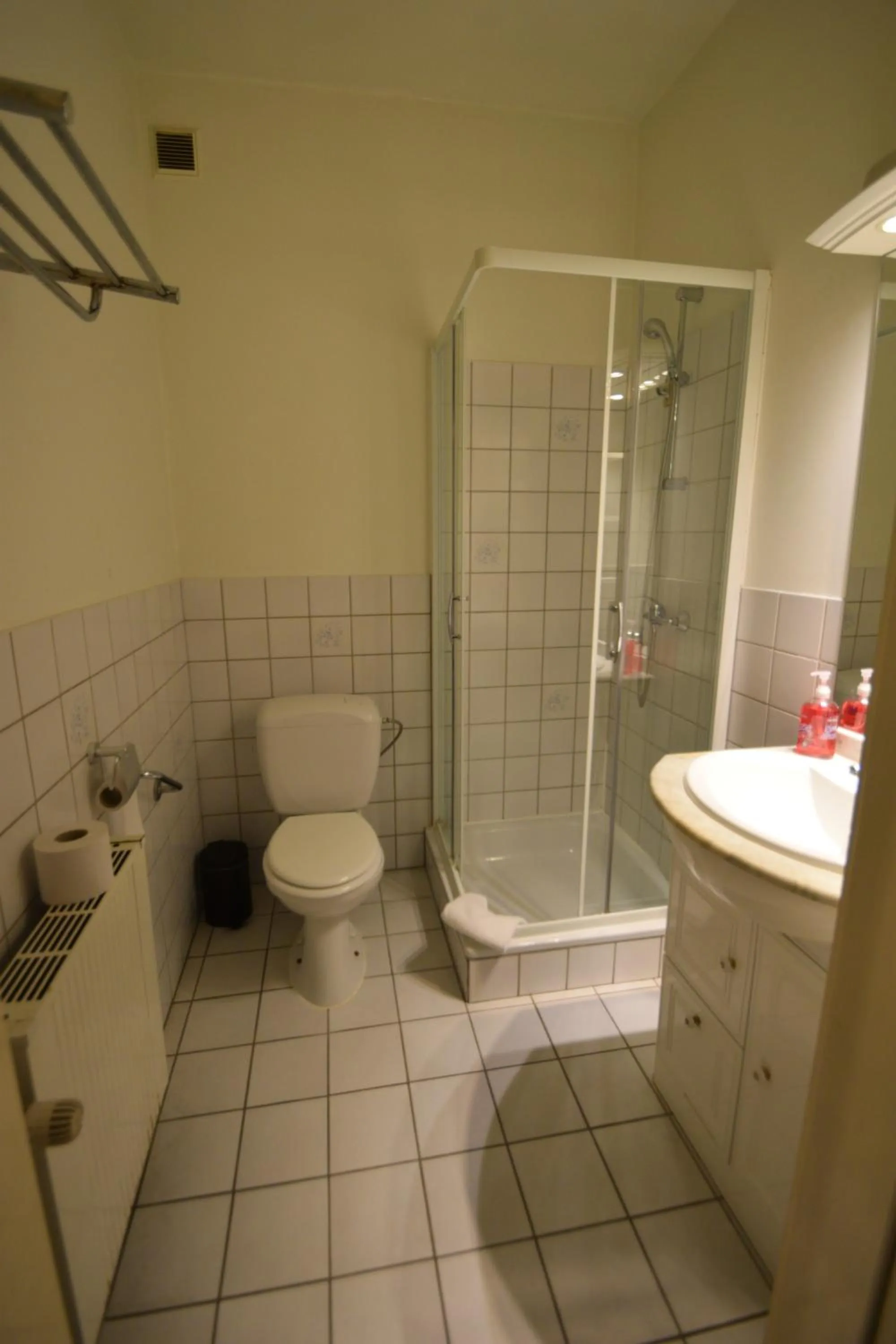 Shower in Budget Flats Brussels