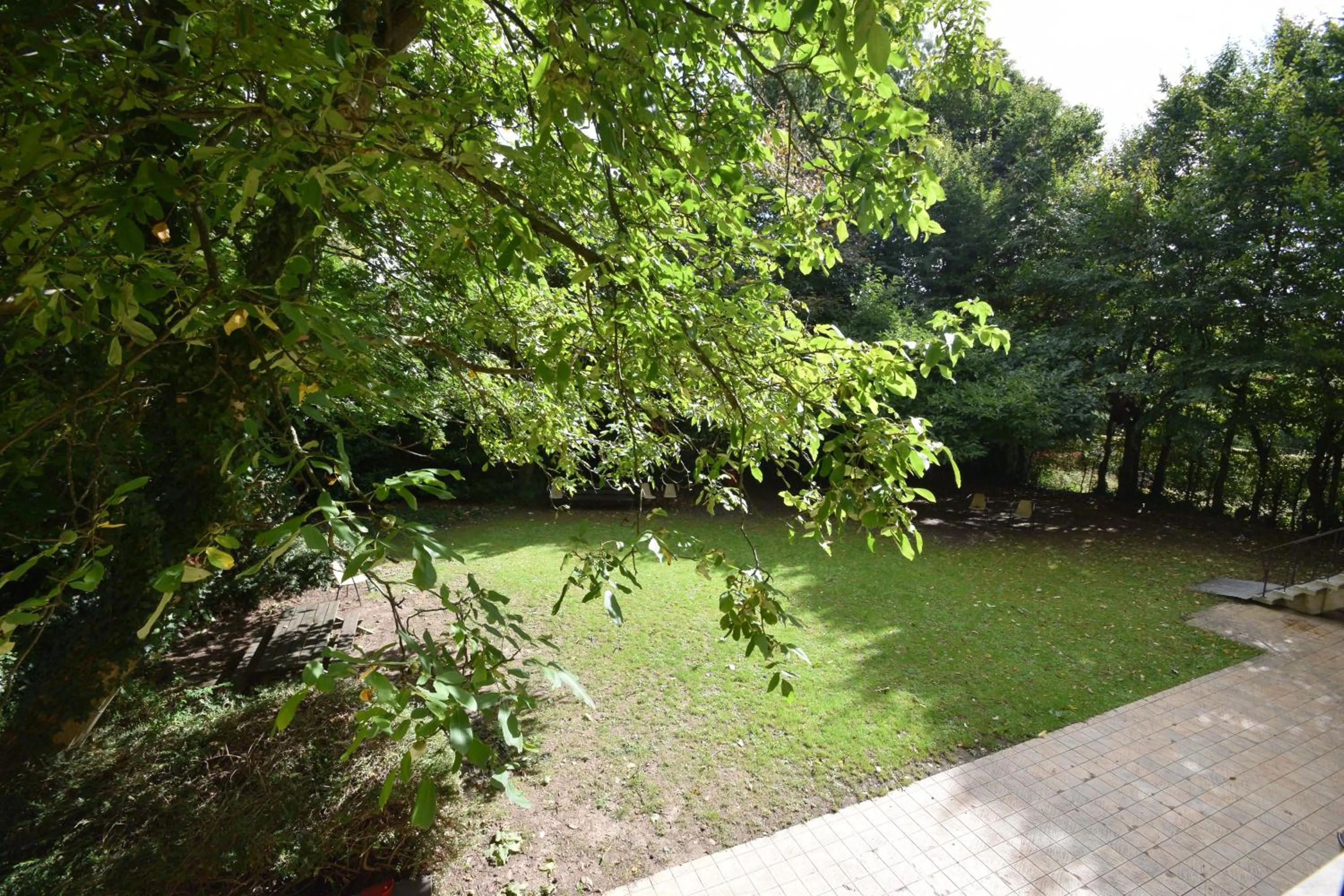 Garden in Budget Flats Brussels