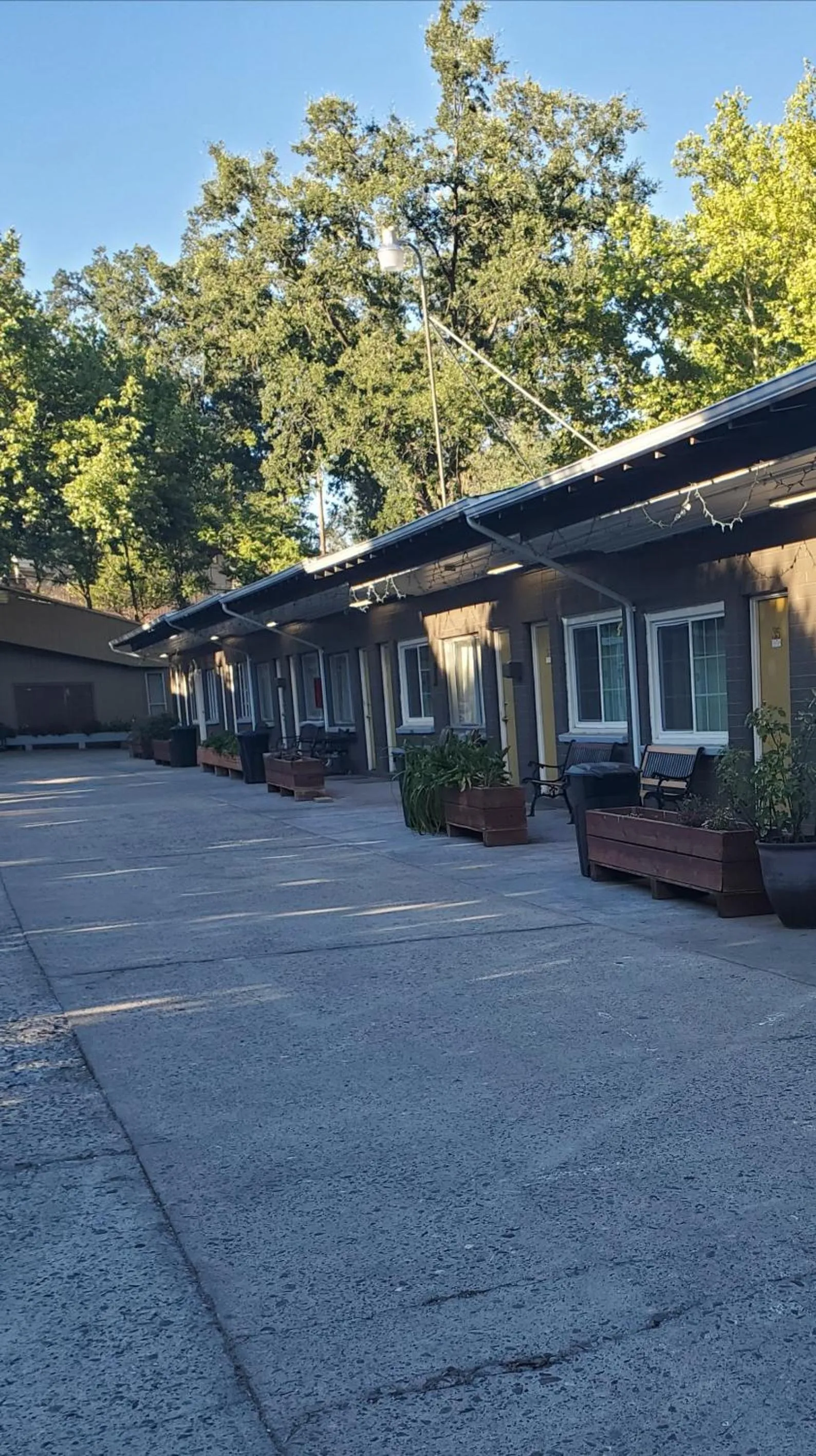 Property building in The Gold Lodge