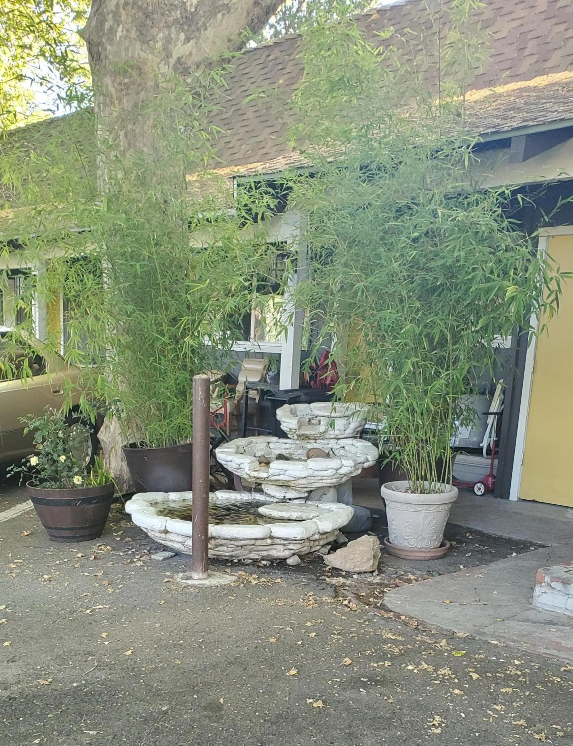 Property building in The Gold Lodge