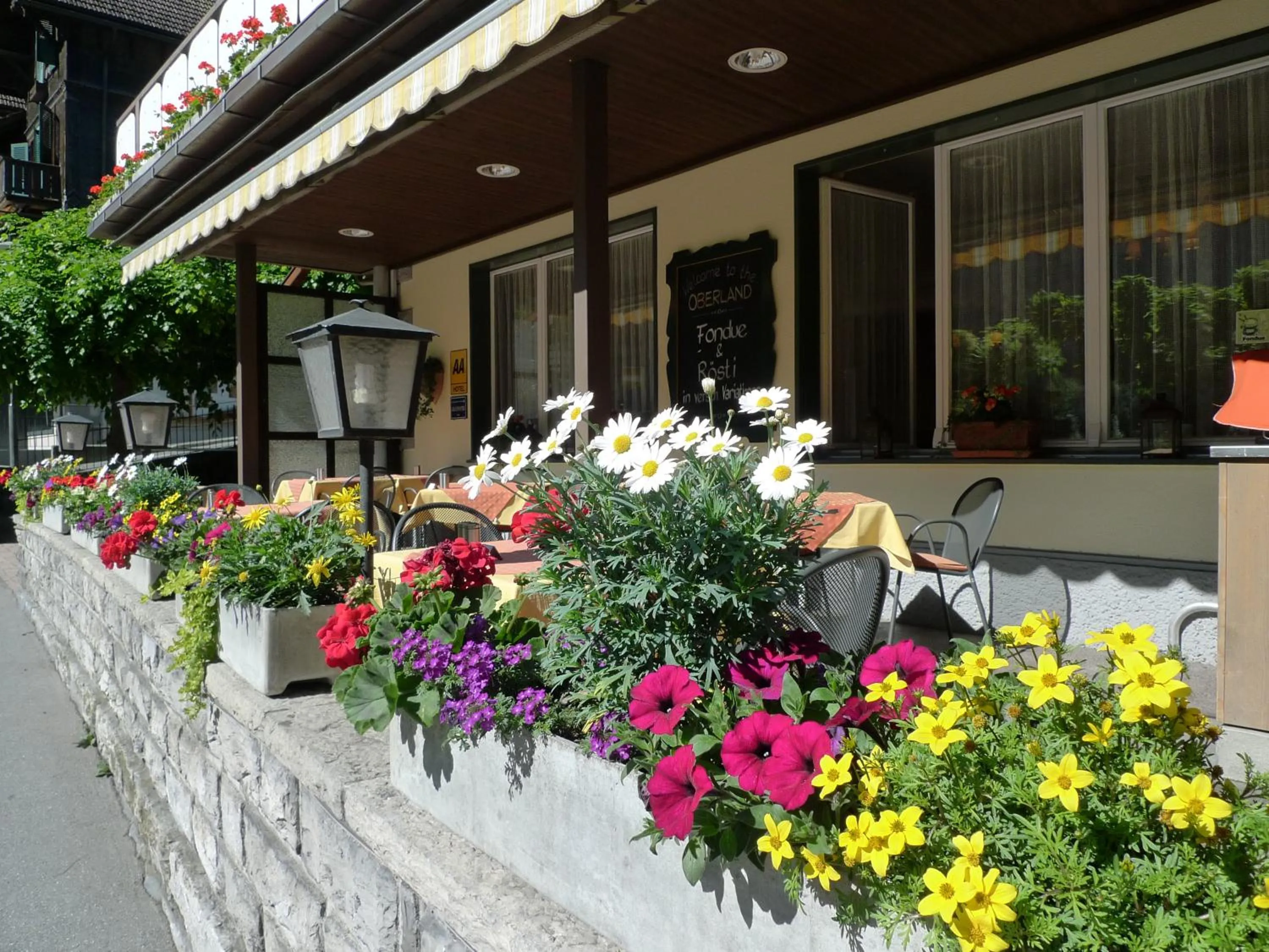 Balcony/Terrace in Hotel Oberland