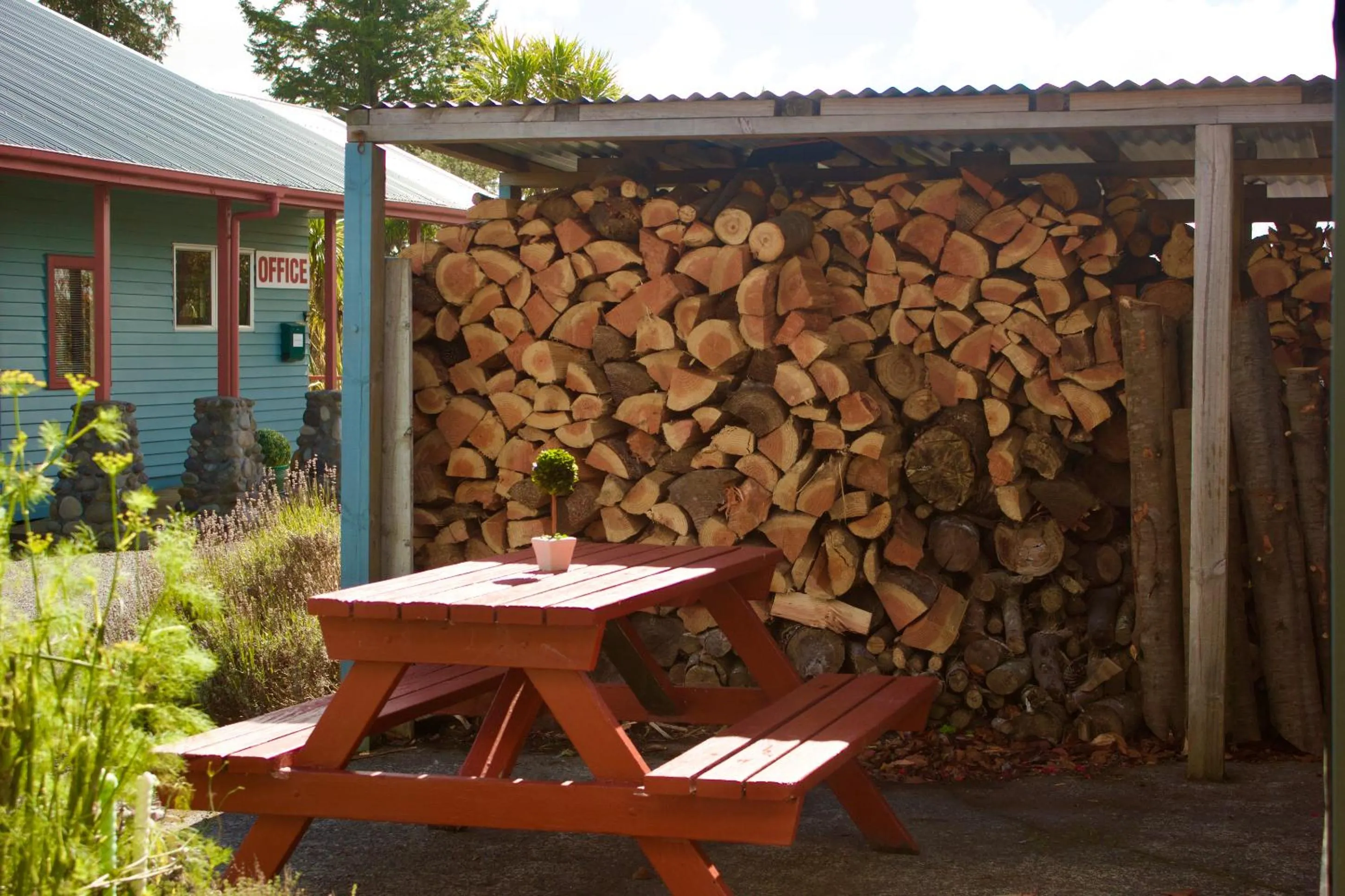 Garden in Adventure Lodge and Motels and Tongariro Crossing Track Transport