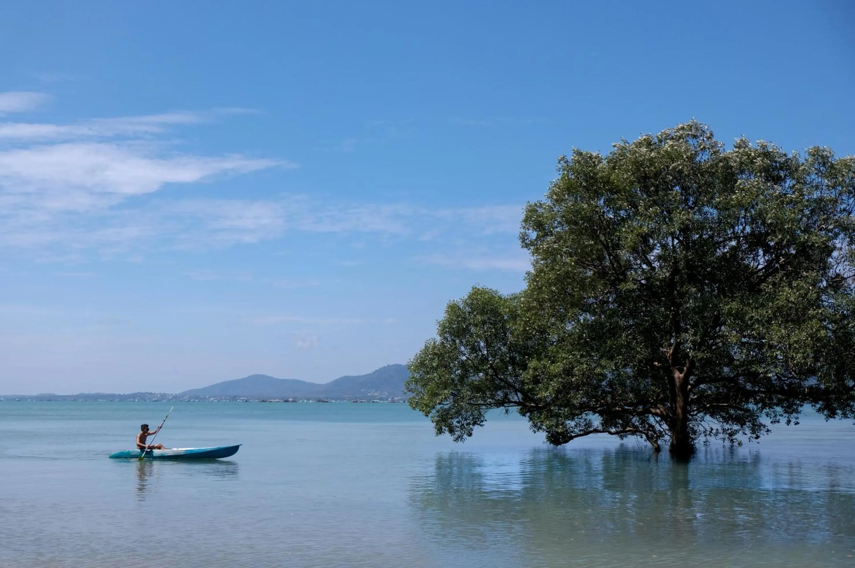 Natural landscape in The Mangrove Phuket by Blu Monkey