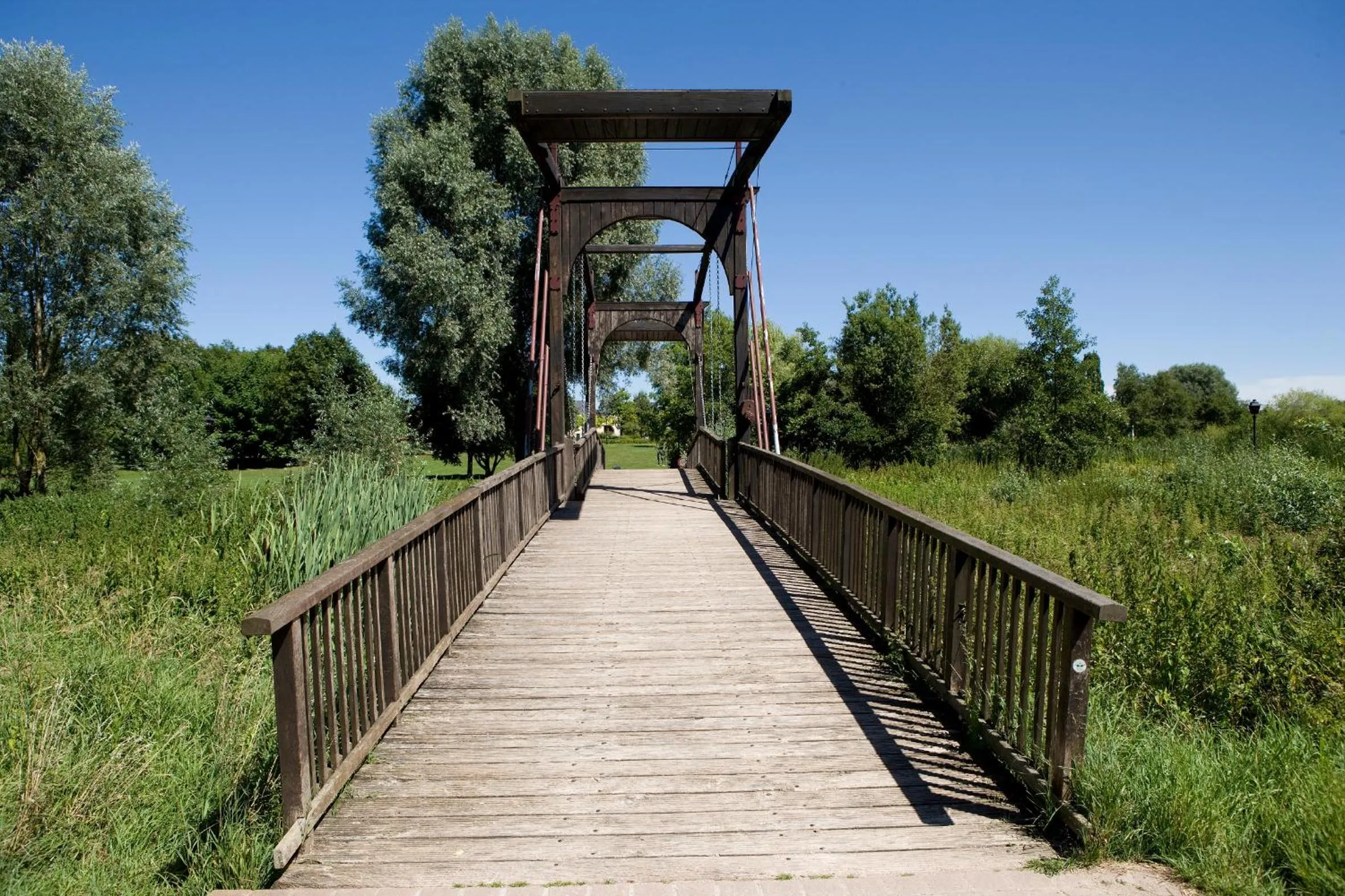 Area and facilities in Hotel Alzinn