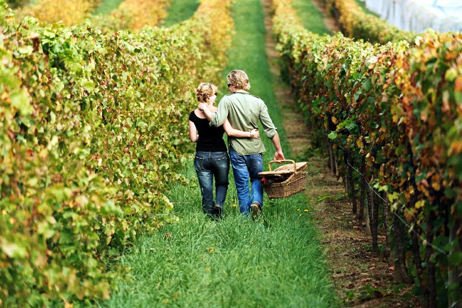 Nearby landmark in Goldfield Holiday Units