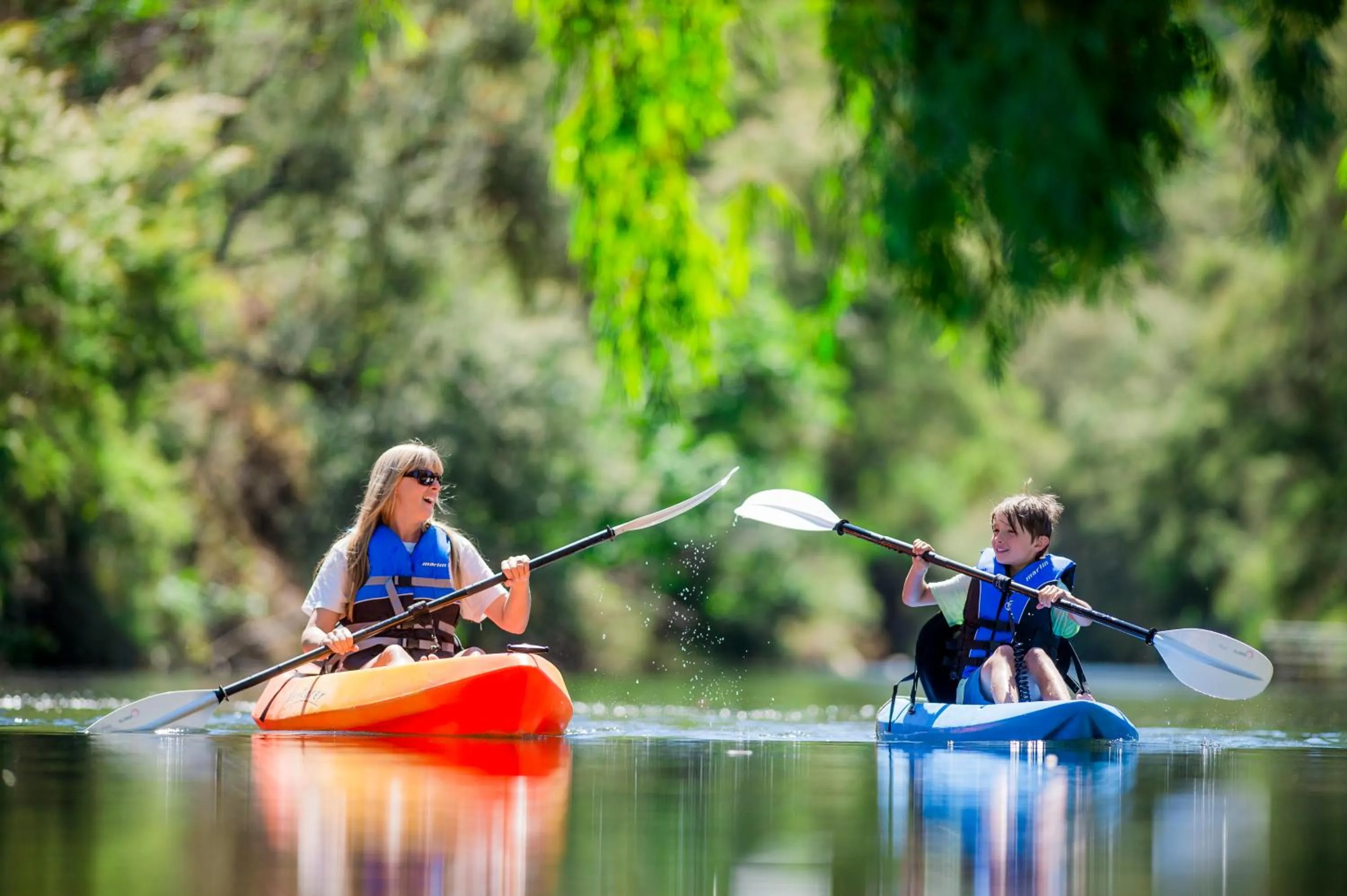 Natural landscape in Goldfield Holiday Units