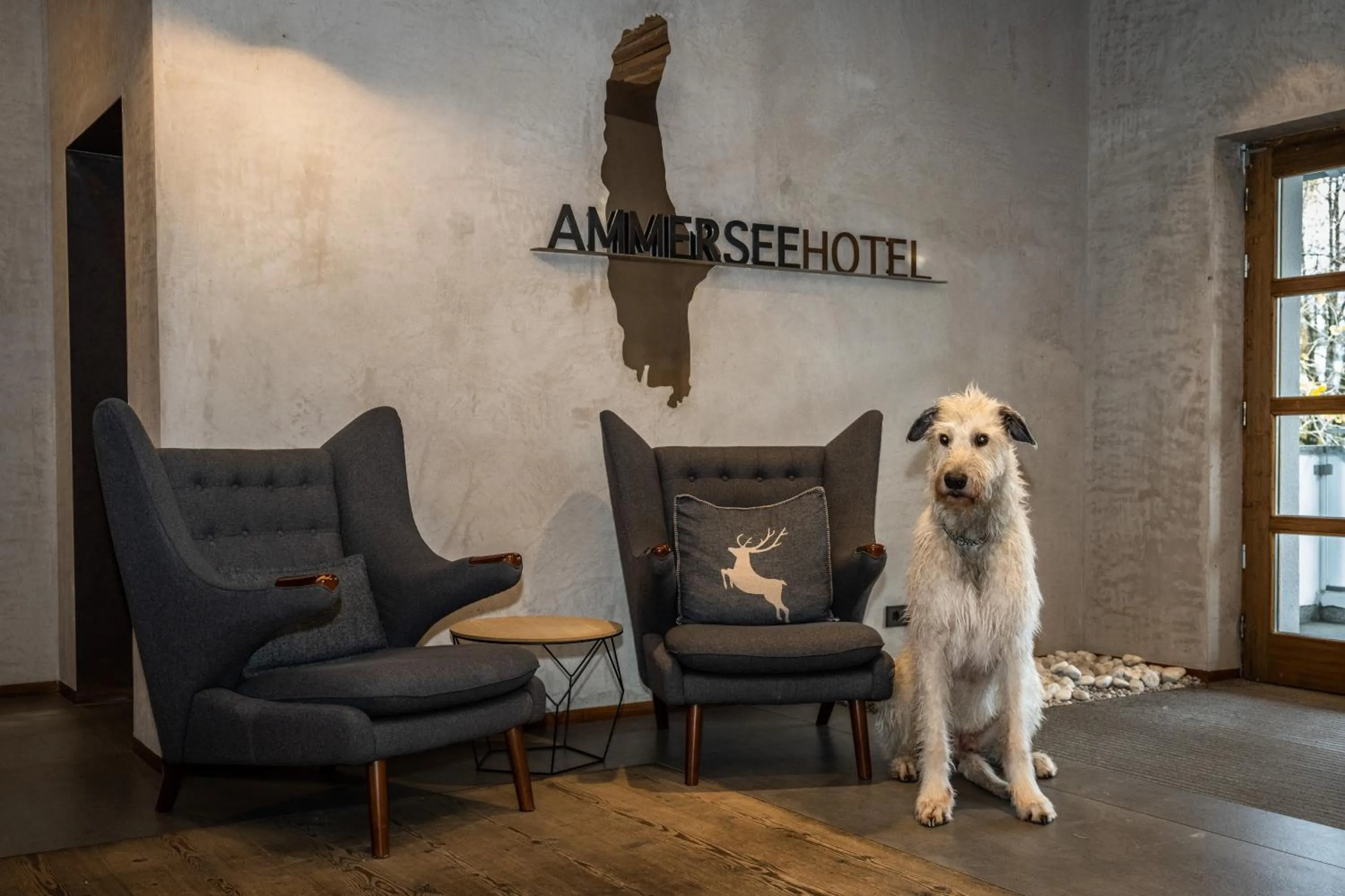 Pets in Ammersee-Hotel