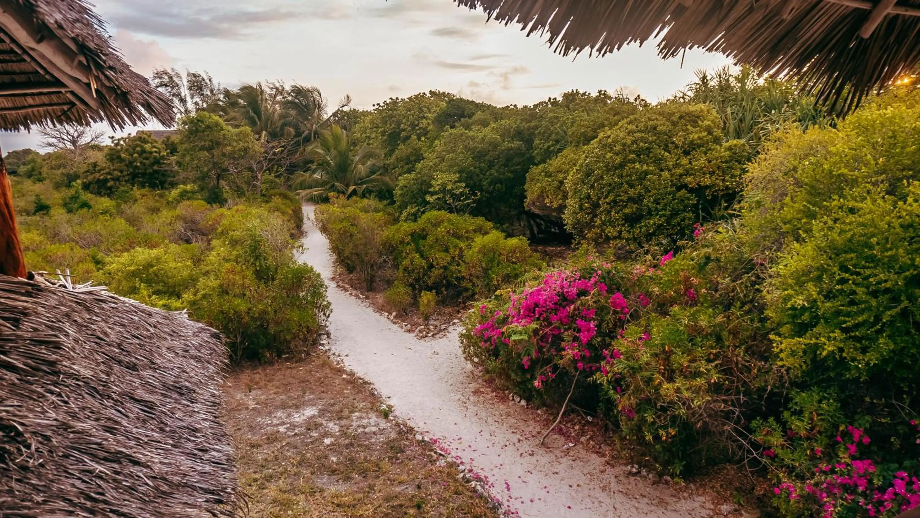 Natural landscape in Pemba Eco Lodge