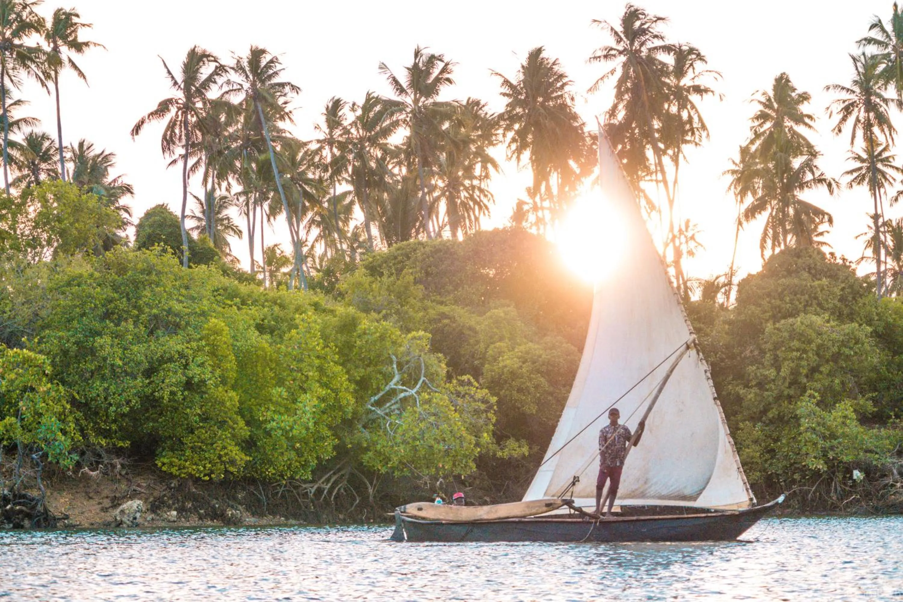 Natural landscape in Pemba Eco Lodge