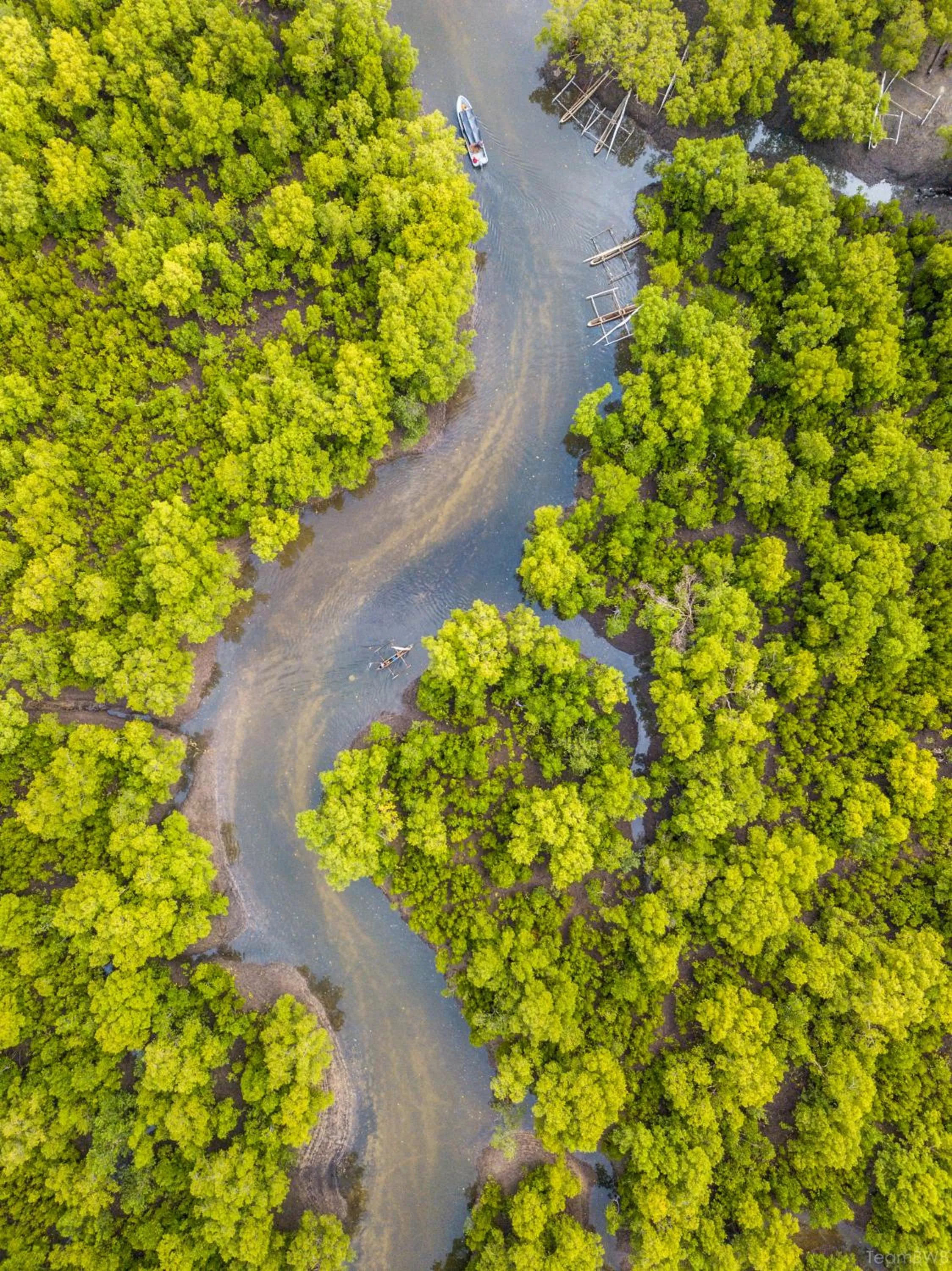 Natural landscape in Pemba Eco Lodge