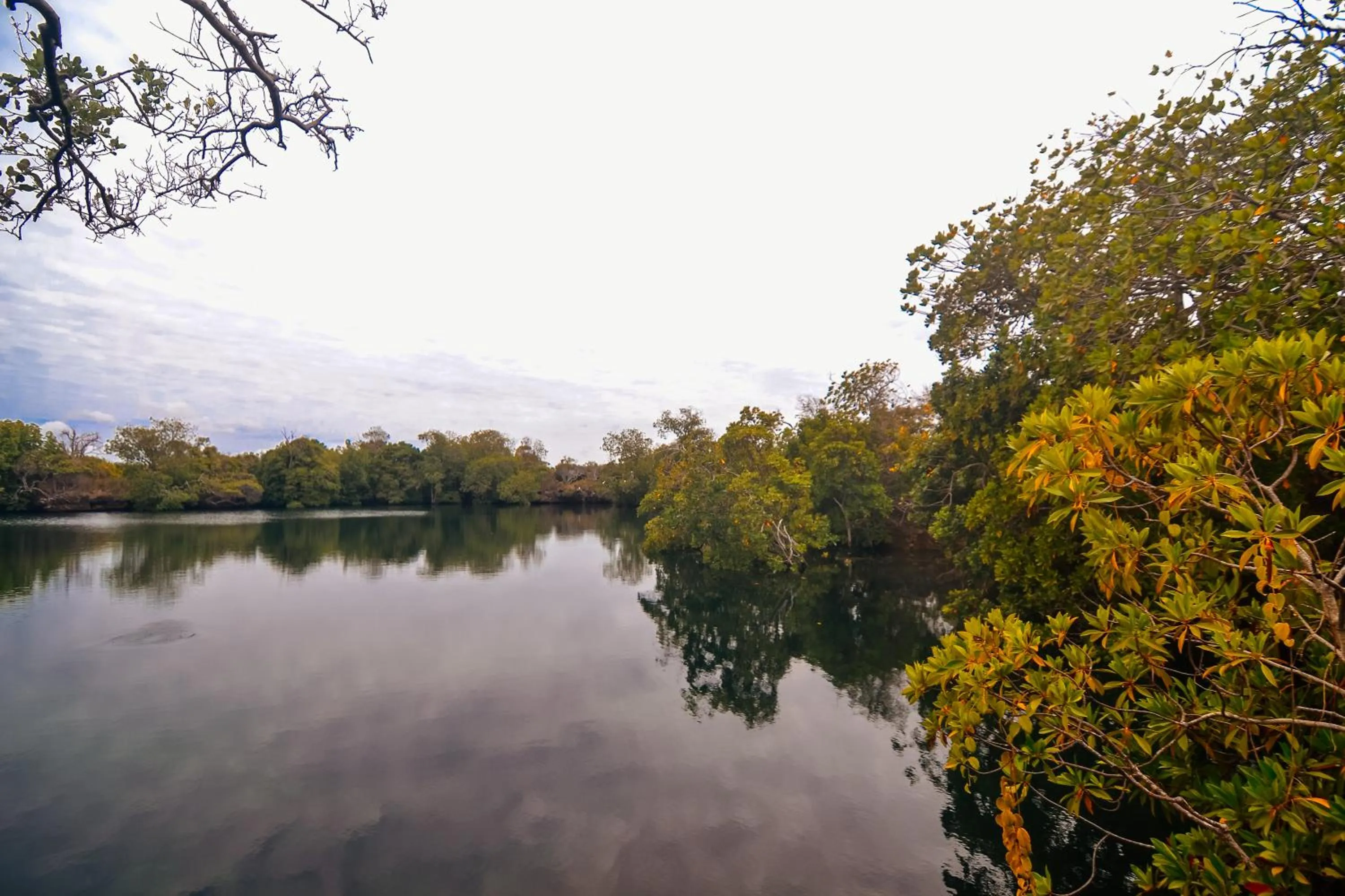 Beach in Pemba Eco Lodge