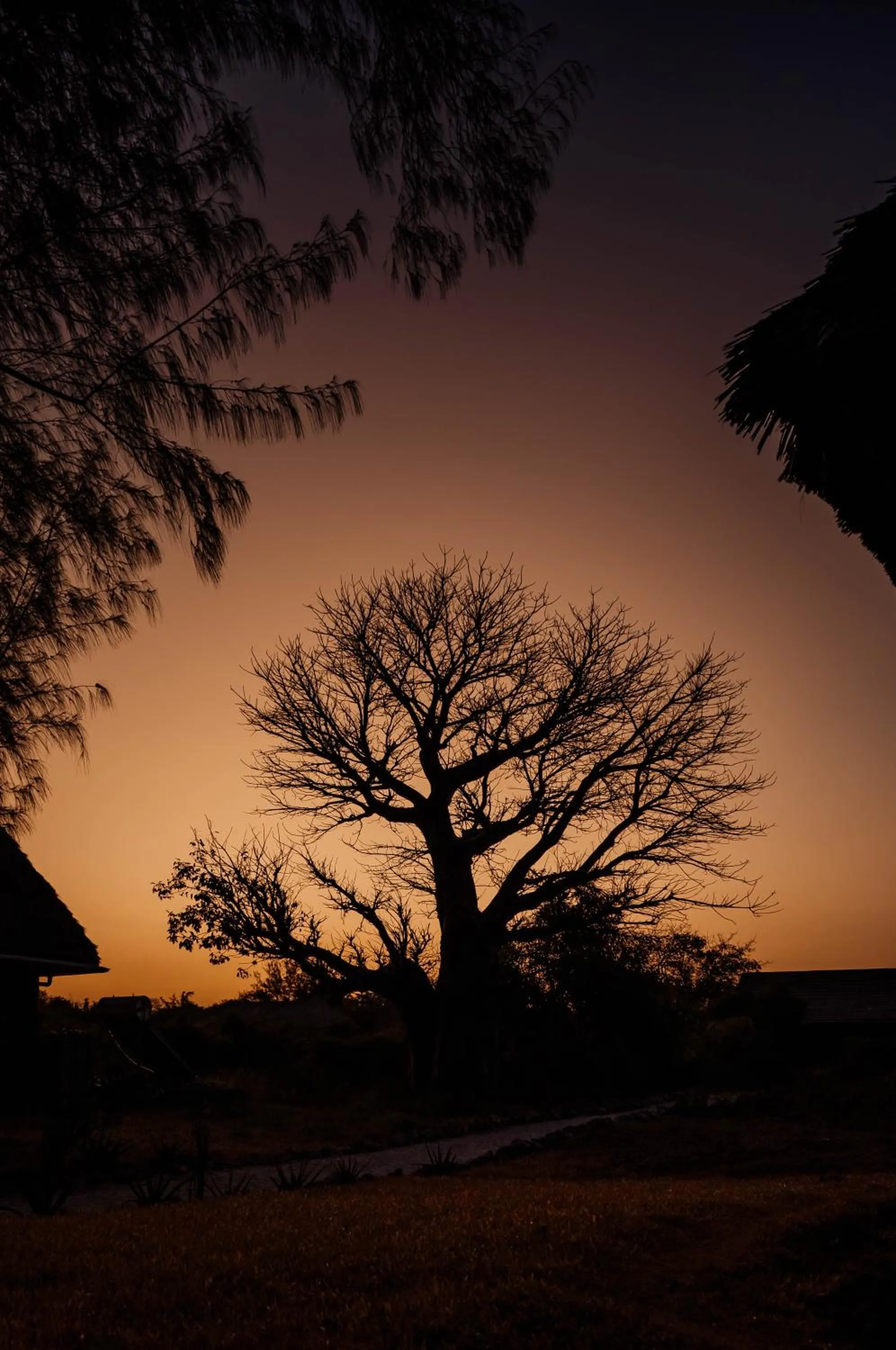 Sunset in Pemba Eco Lodge