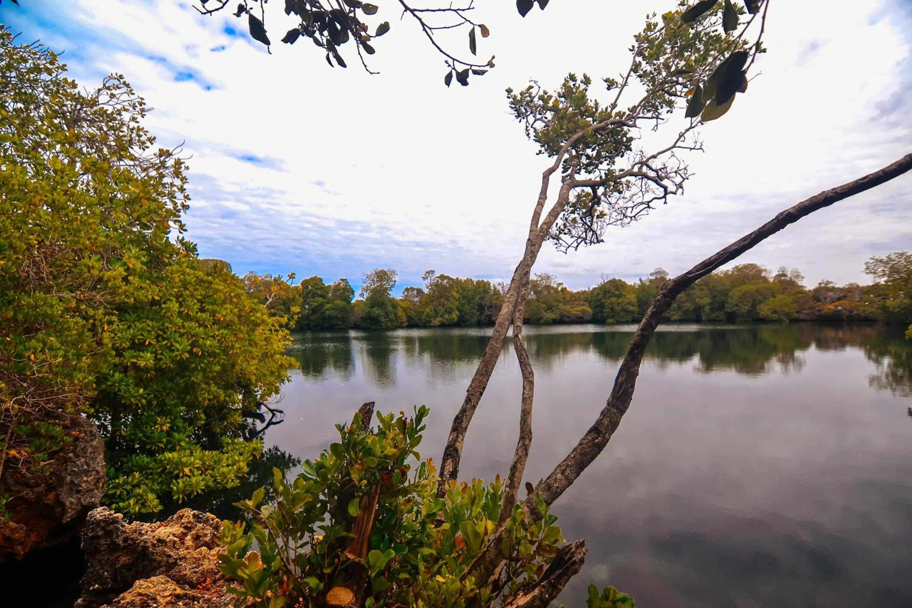 Beach in Pemba Eco Lodge