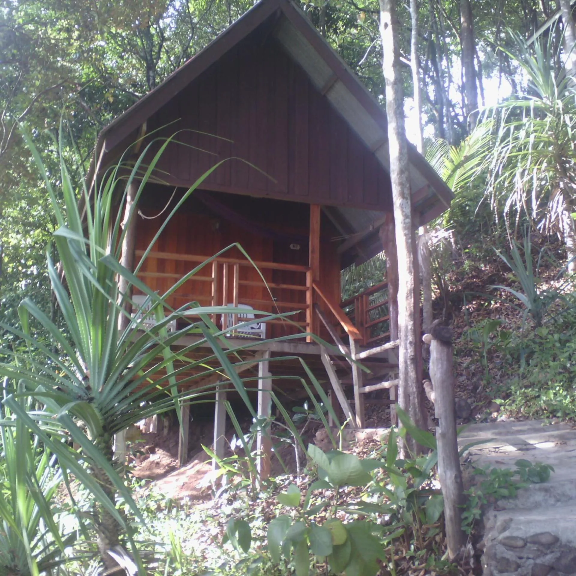 Jungle Hill Beach Bungalow
