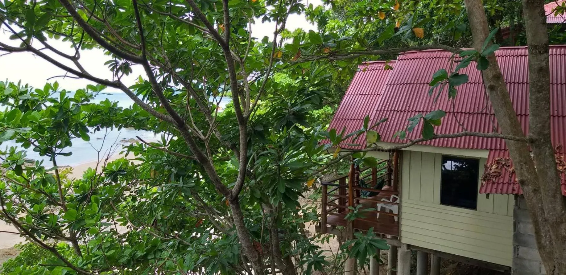 Jungle Hill Beach Bungalow