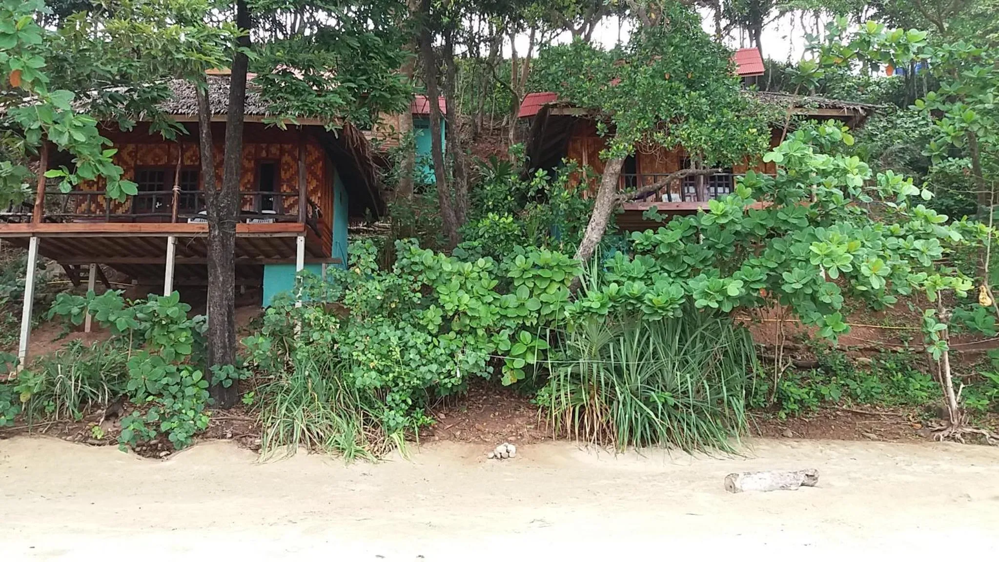 Beach in Jungle Hill Beach Bungalow