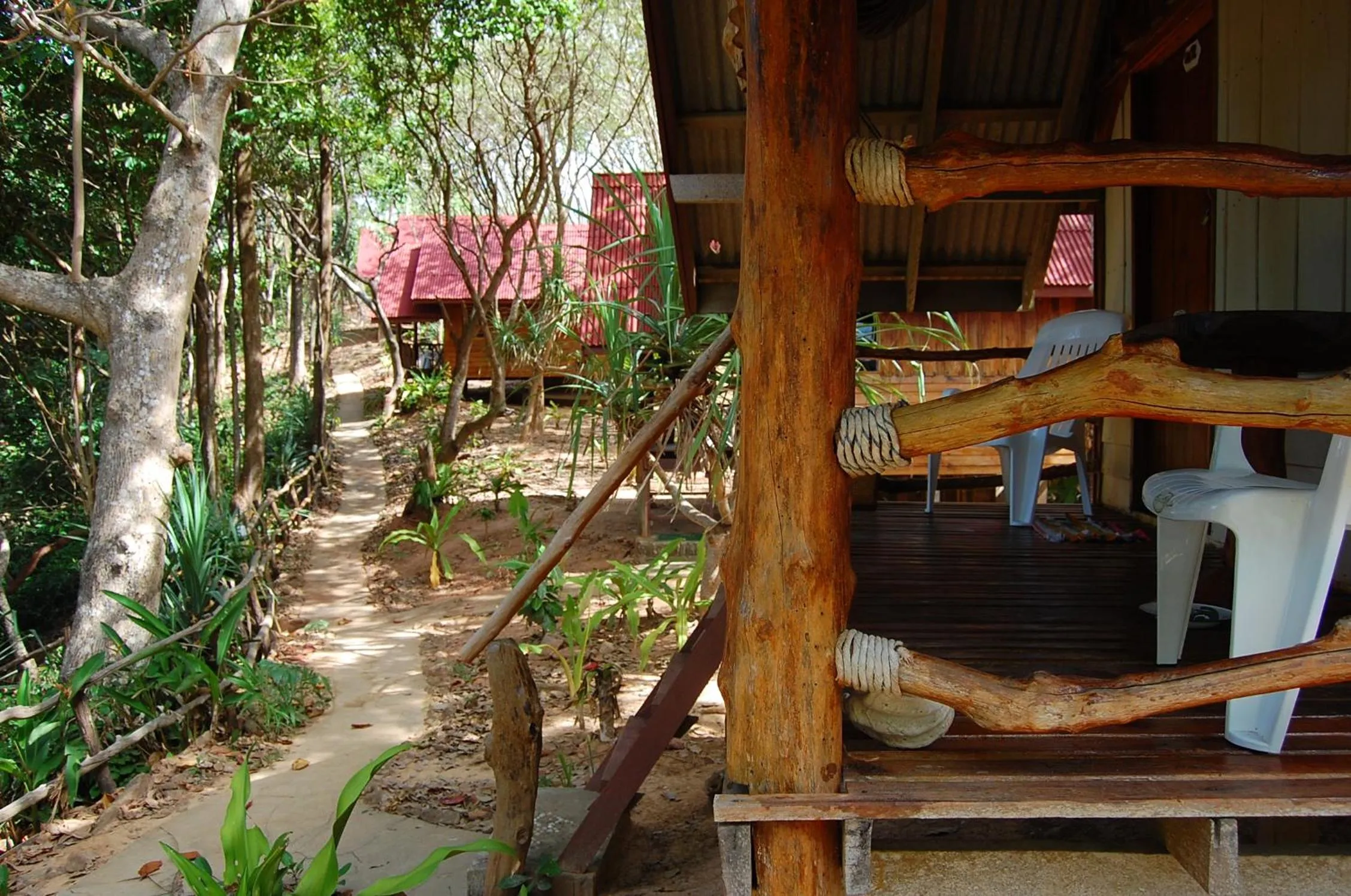 Day in Jungle Hill Beach Bungalow