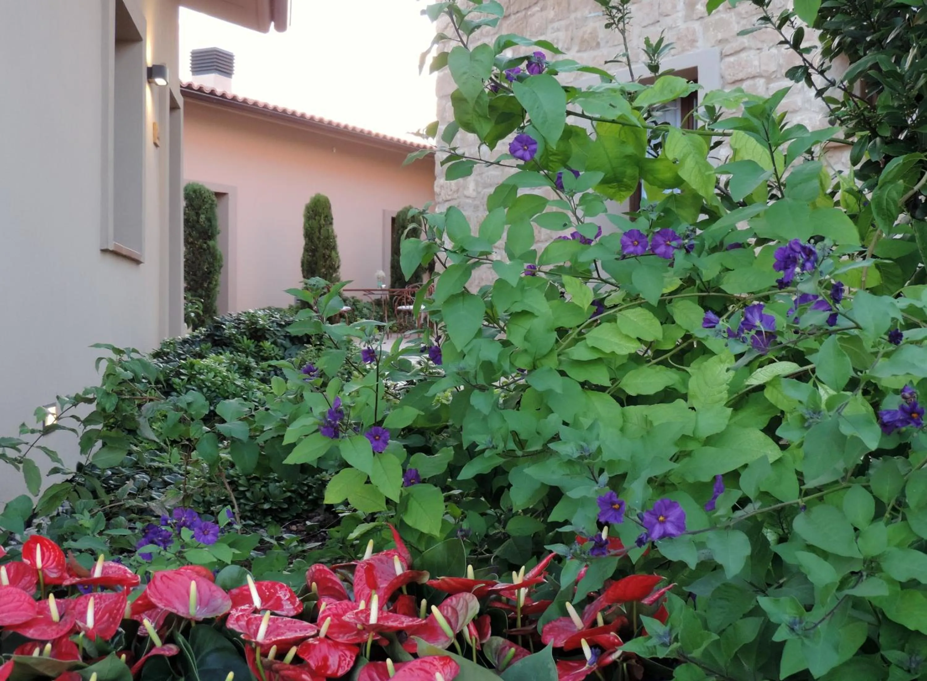 Off site in Hotel Villa Monter