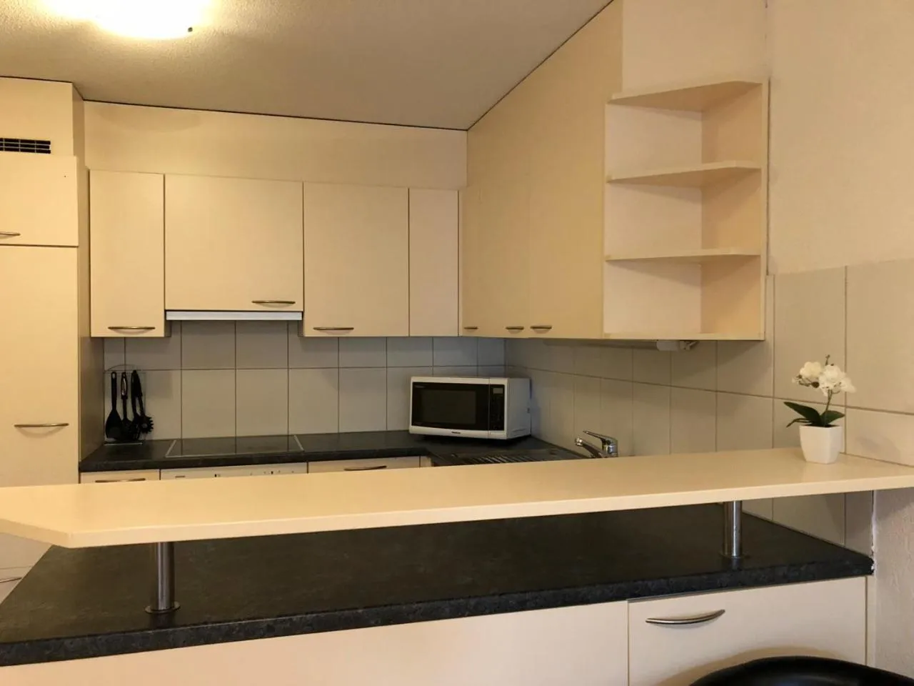 Kitchen or kitchenette in SASS APARTHOTEL