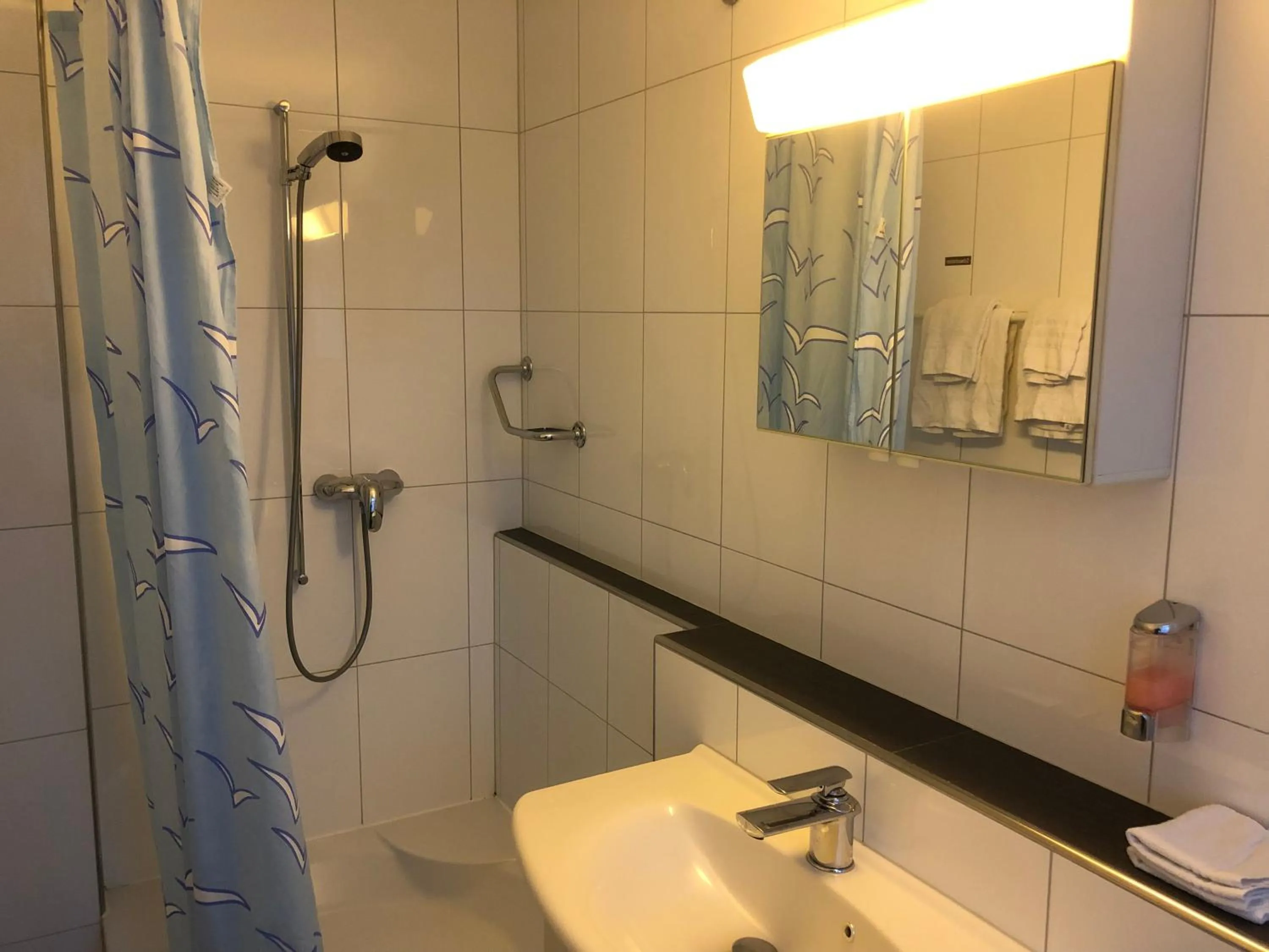 Shower in SASS APARTHOTEL