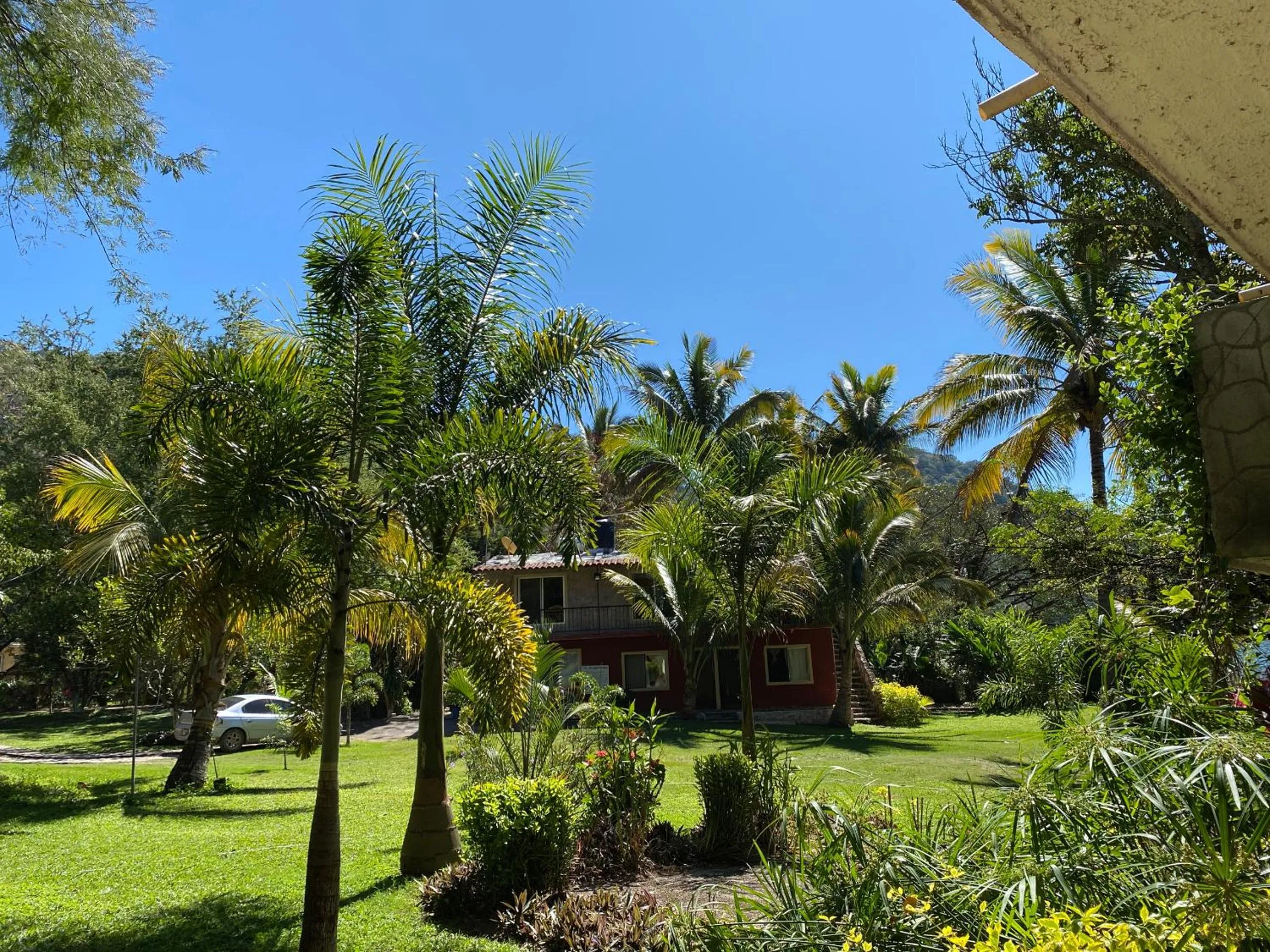 Garden in Ranchito Camping