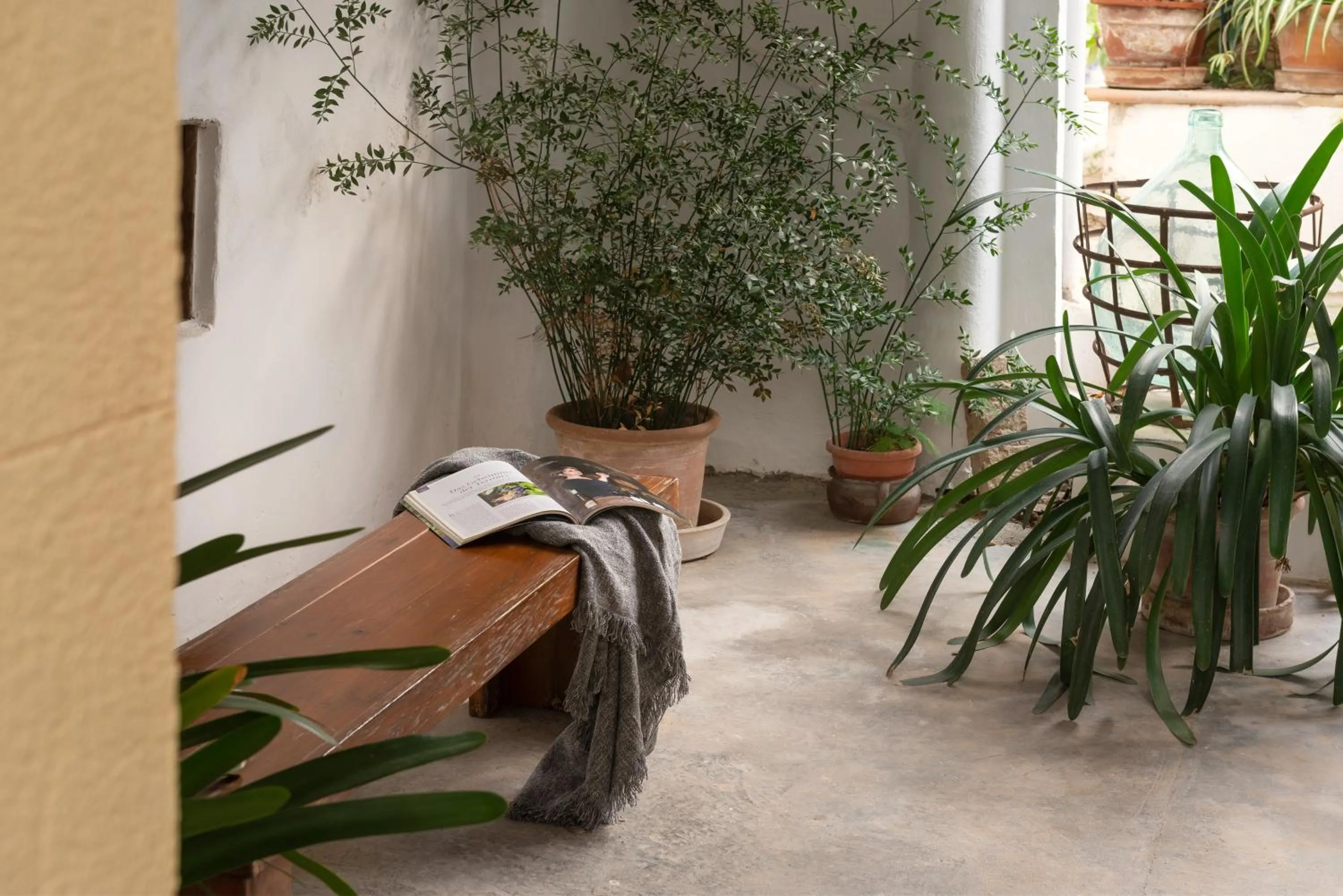 Patio in Hostal Pons