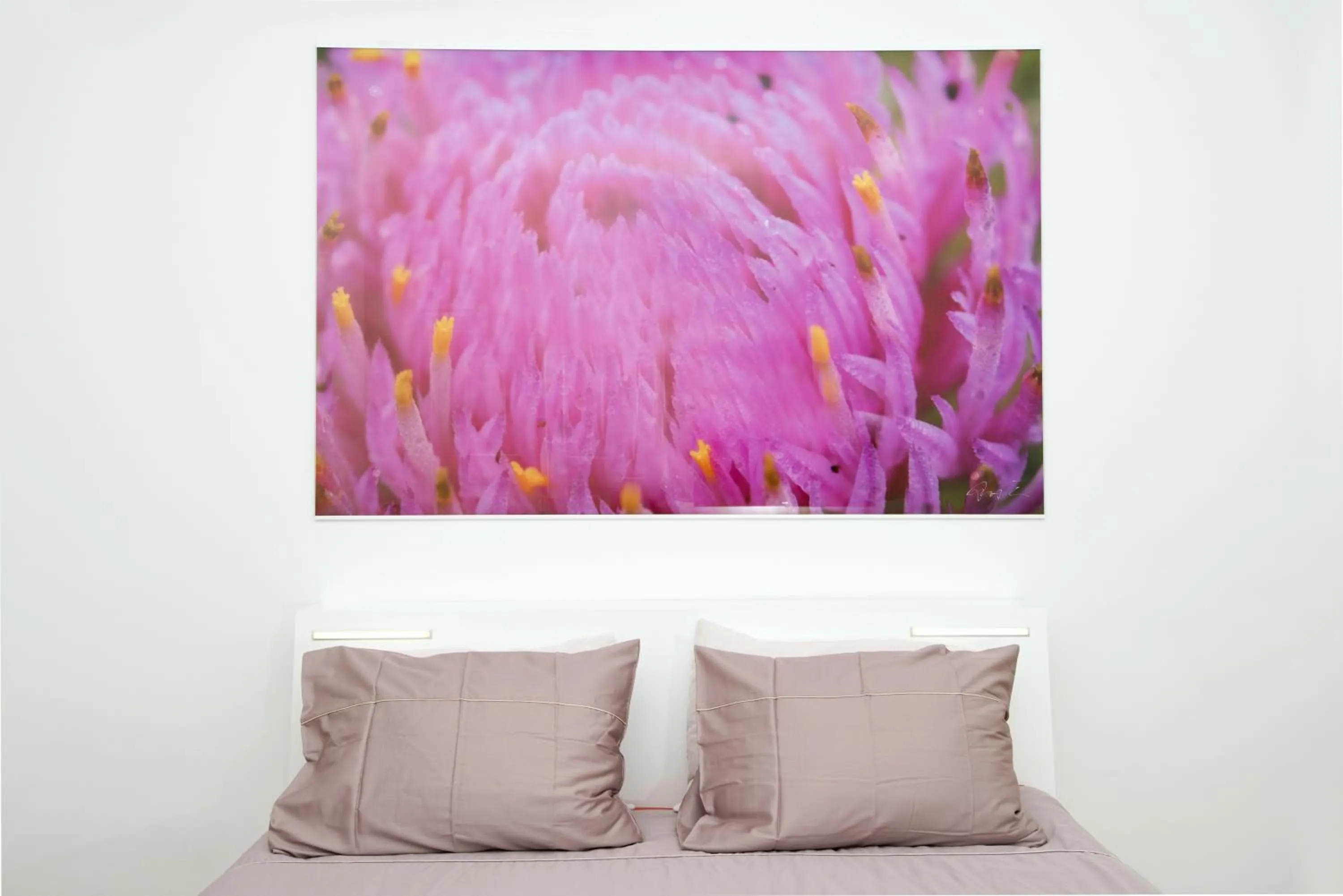 Bed in Galeria River