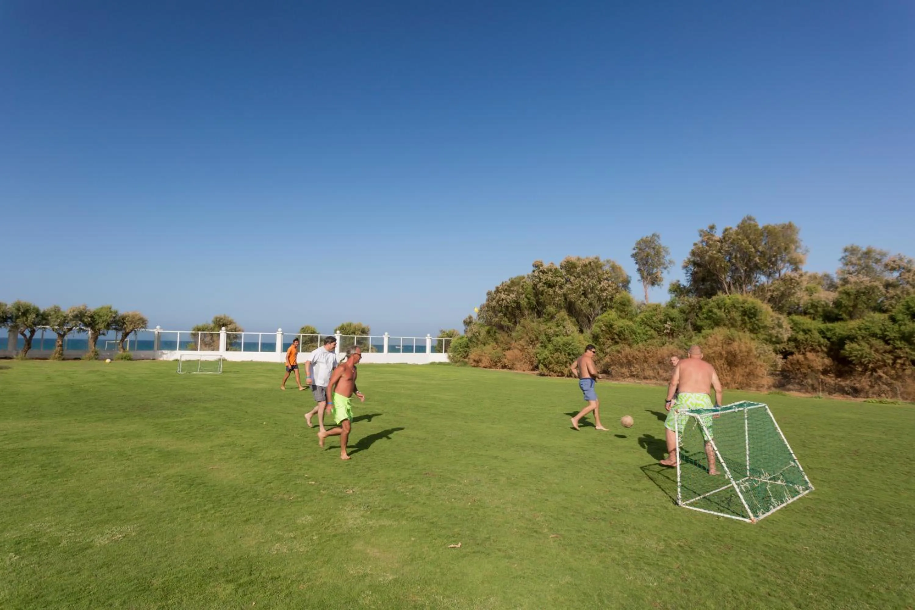 Garden in Dessole Dolphin Bay - All Inclusive